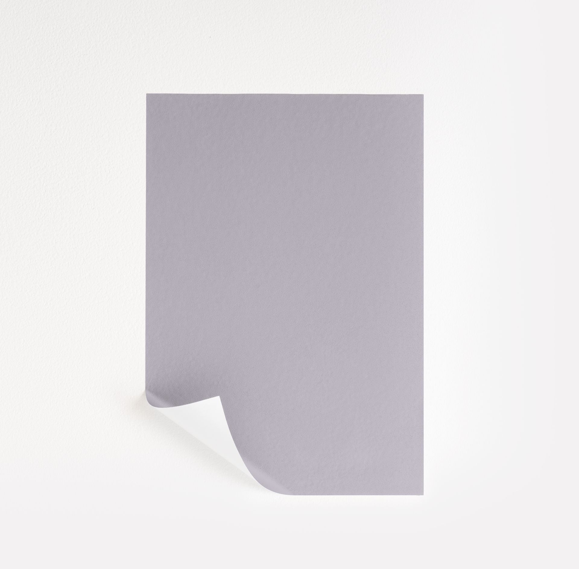 African Violet (2116-50)