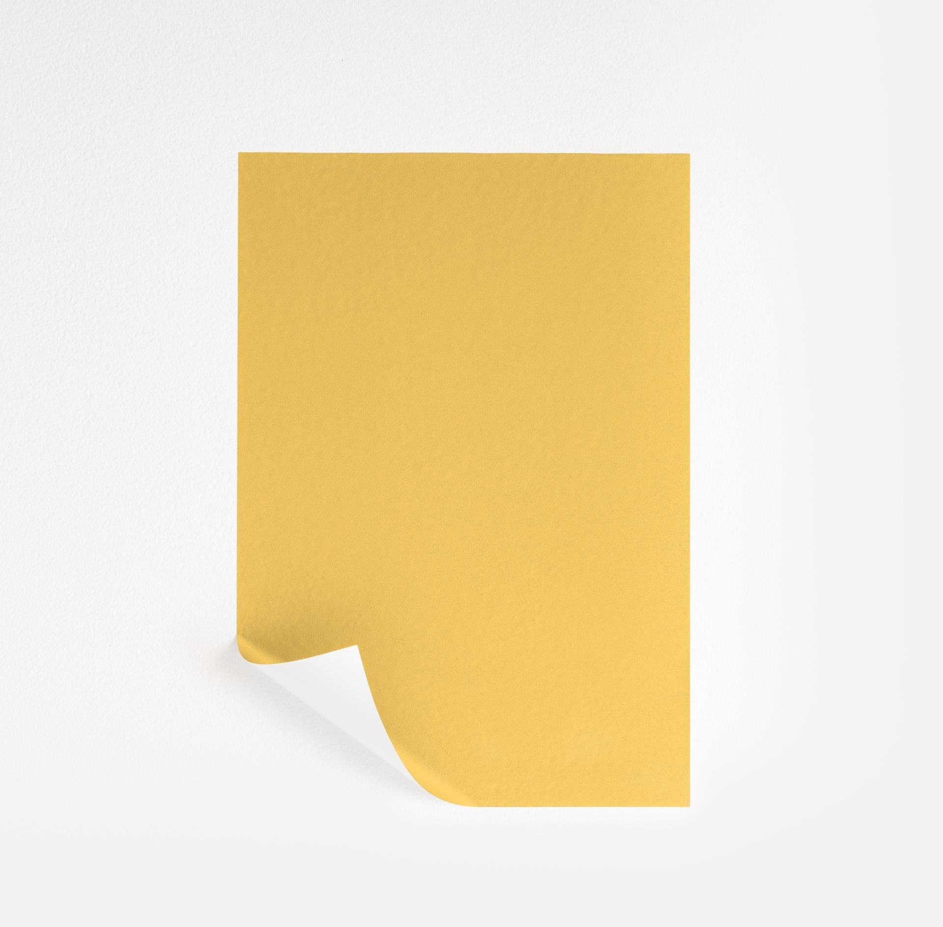 American Cheese (2019-40)