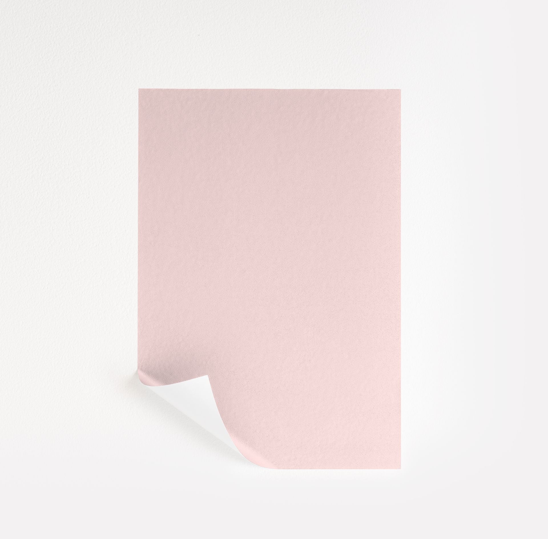 Angel Pink (2007-70)