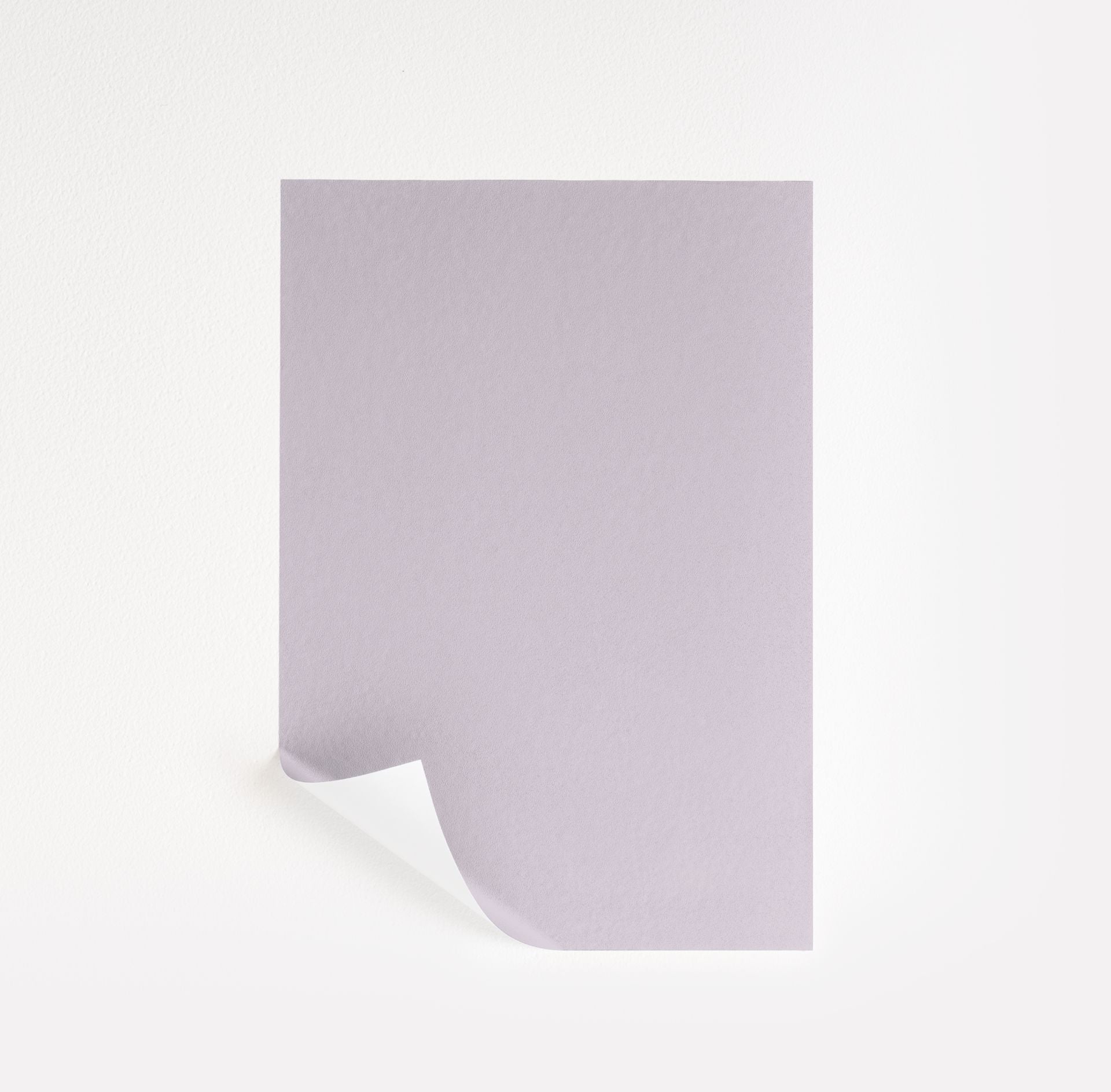 Beach Plum (2072-60)