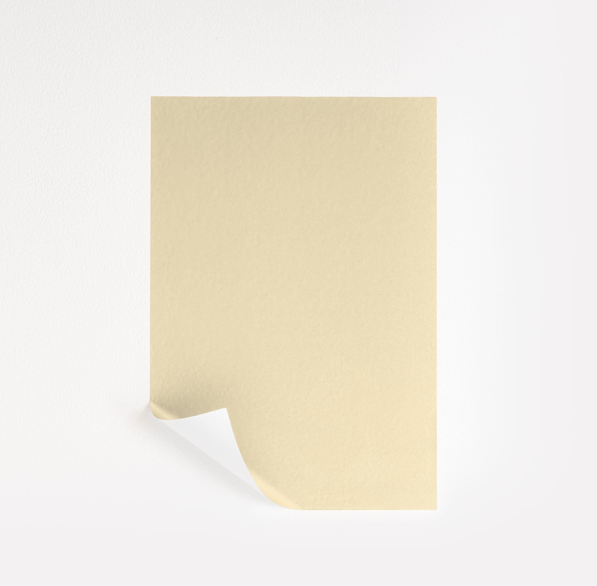 Candlelit Dinner (295)