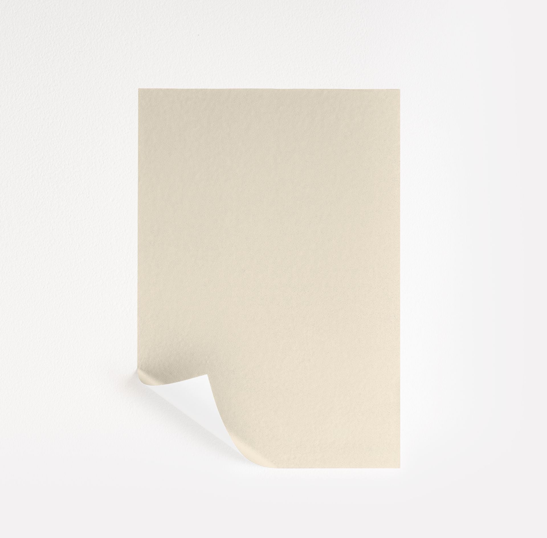 Canvas (267)