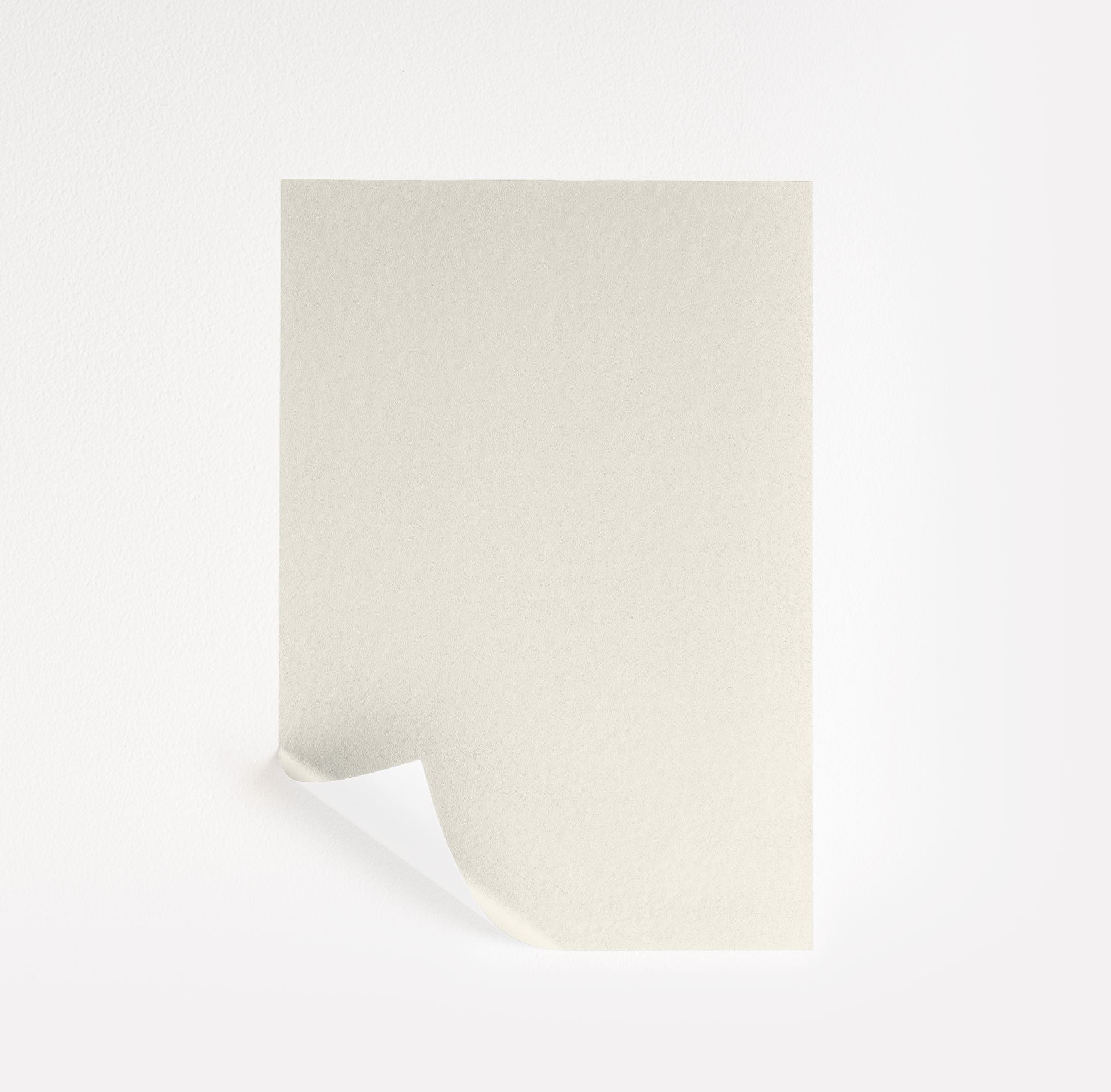 Capitol White (CW-10)