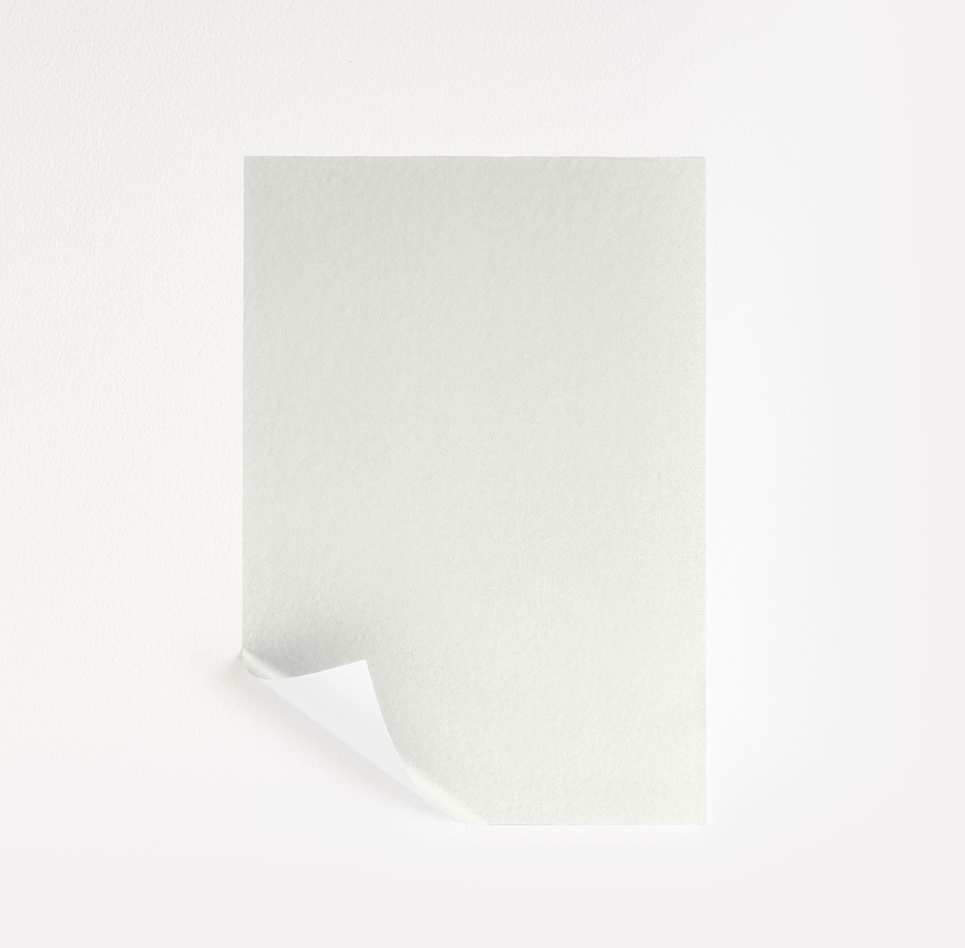 Chantilly Lace (2121-70)