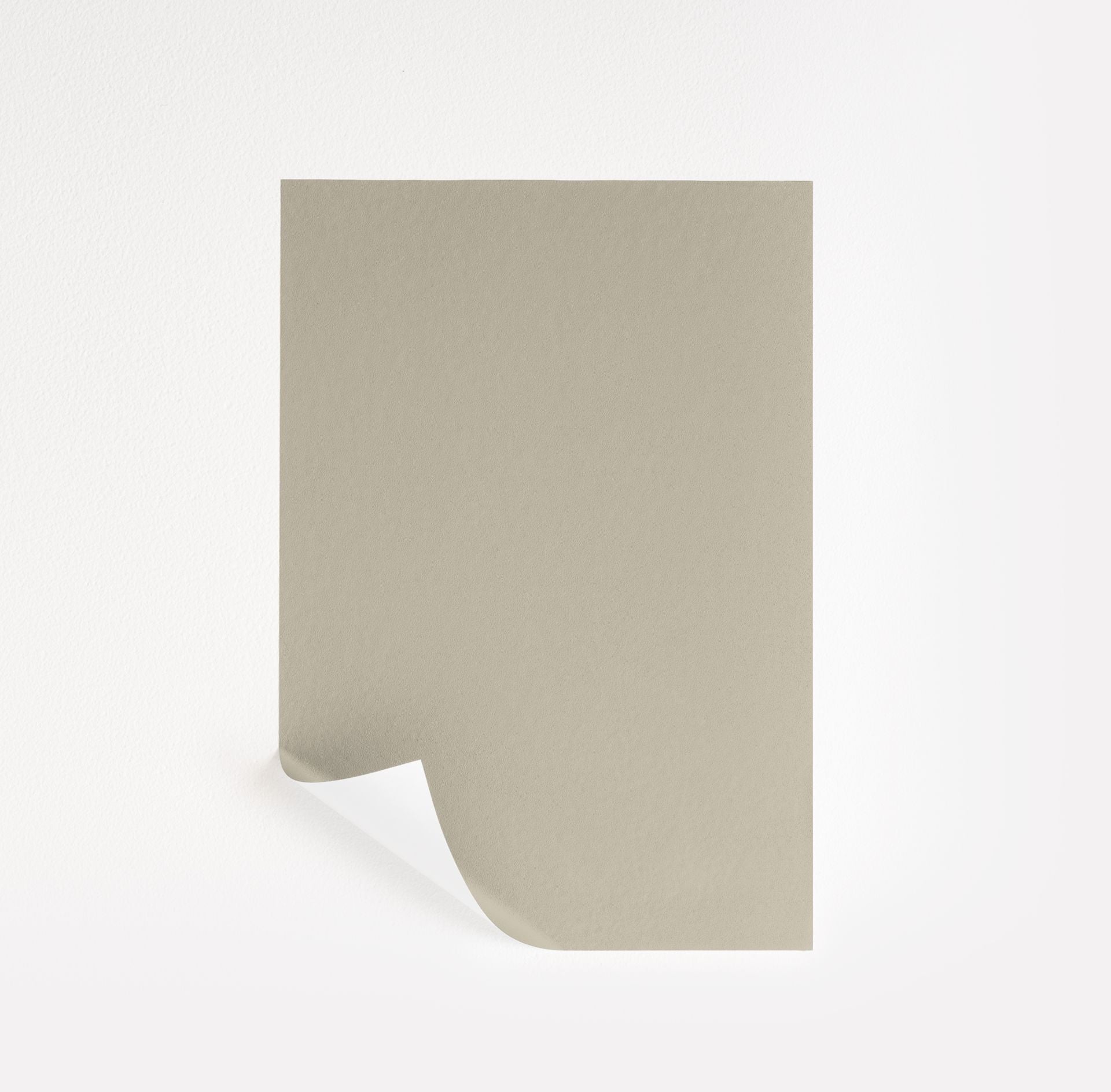 Coastal Fog Paint Sample by Benjamin Moore (976) | Peel & Stick Paint ...