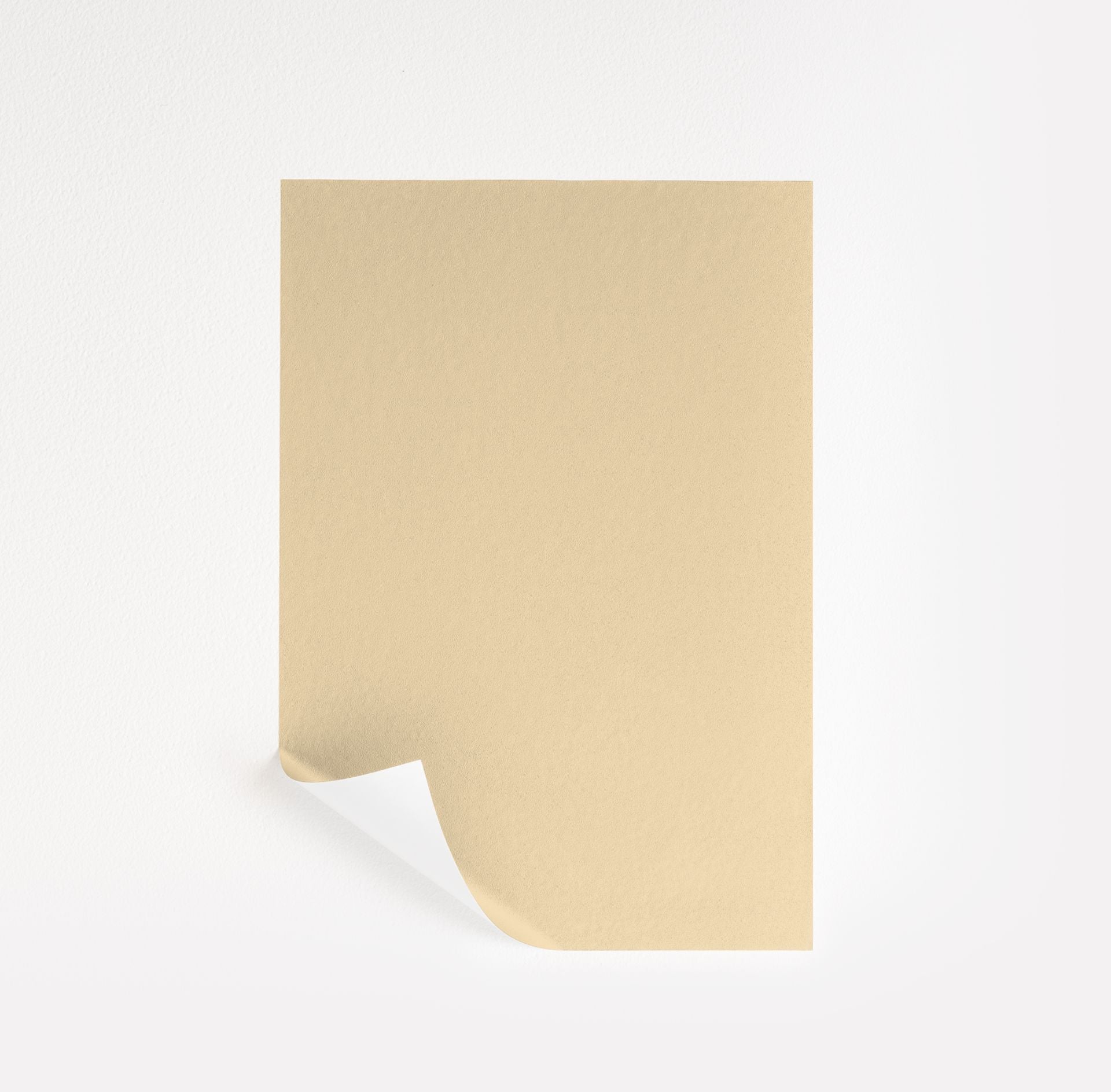 Cornsilk (198)