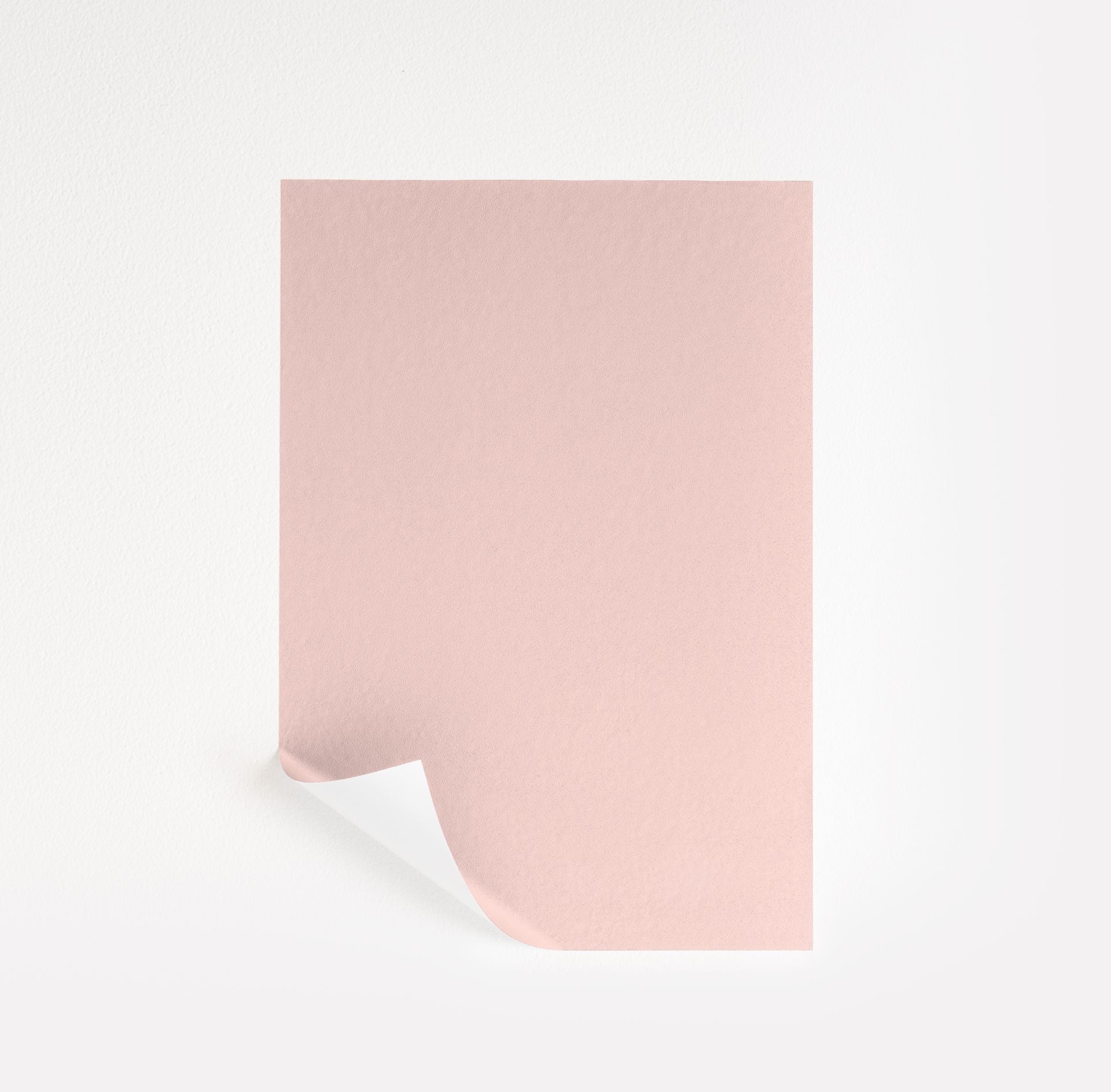 Creamy Peach (2012-60)