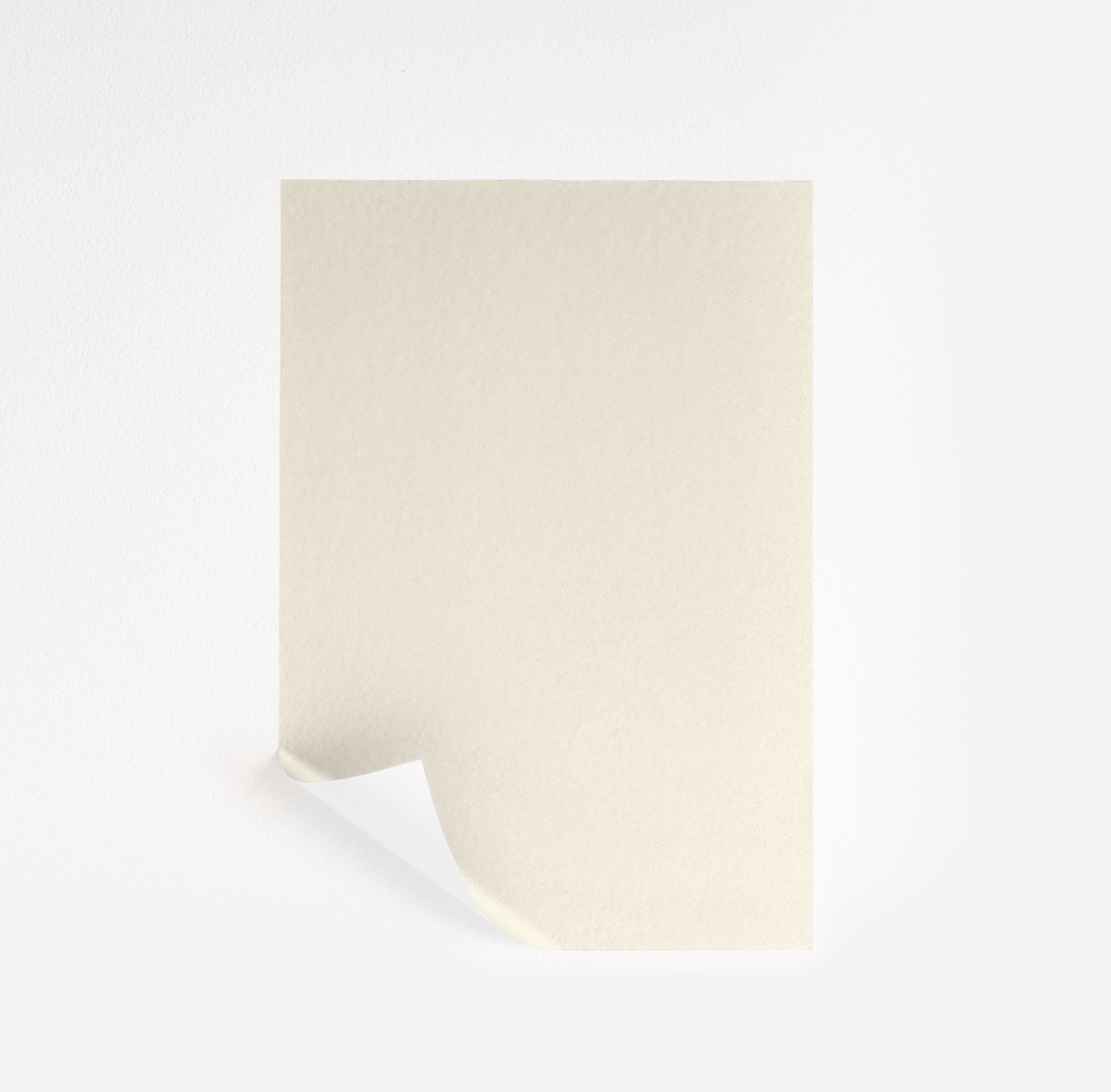 Crisp Linen (CSP-305)