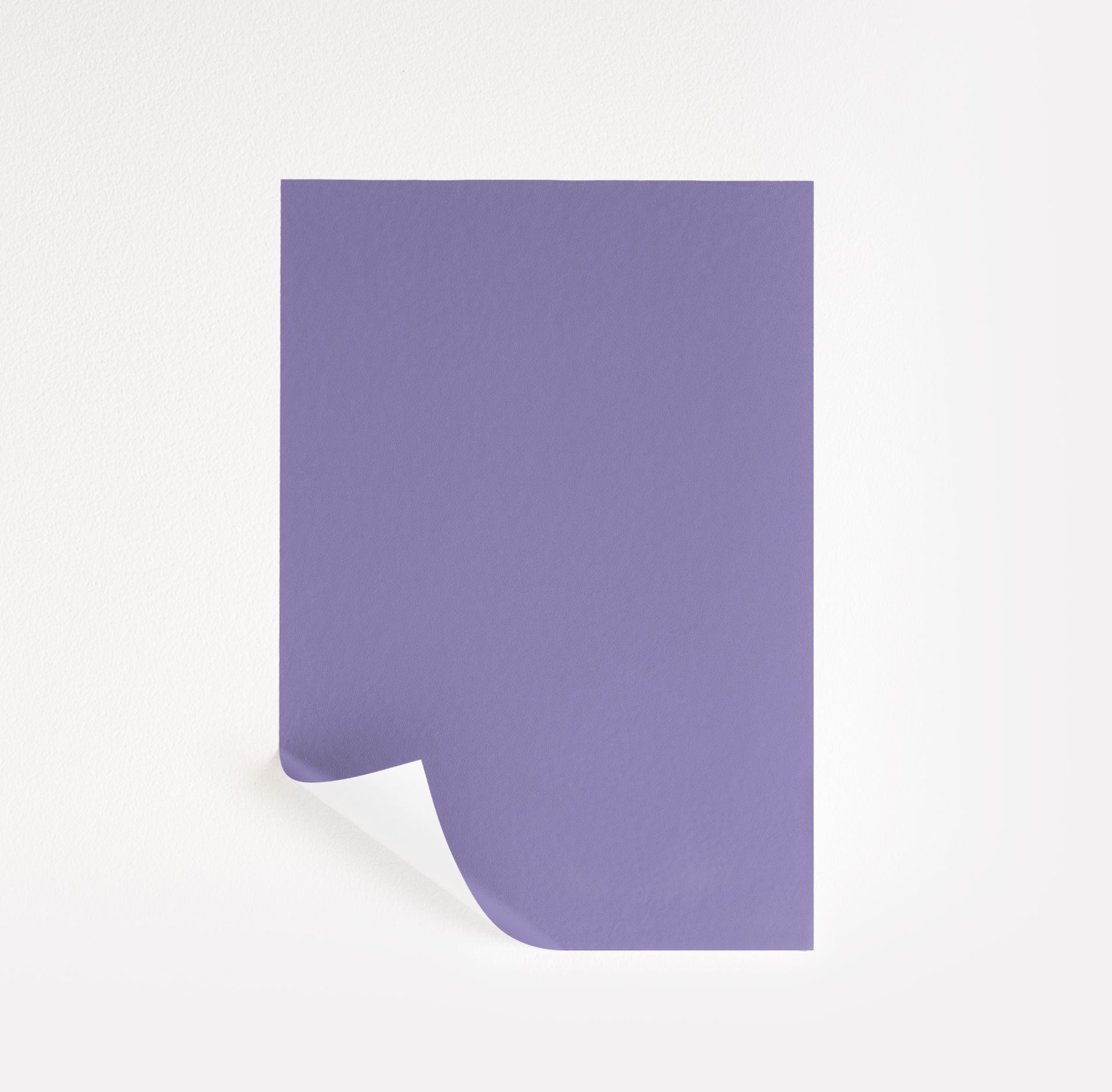 Crocus Petal Purple (2071-40)