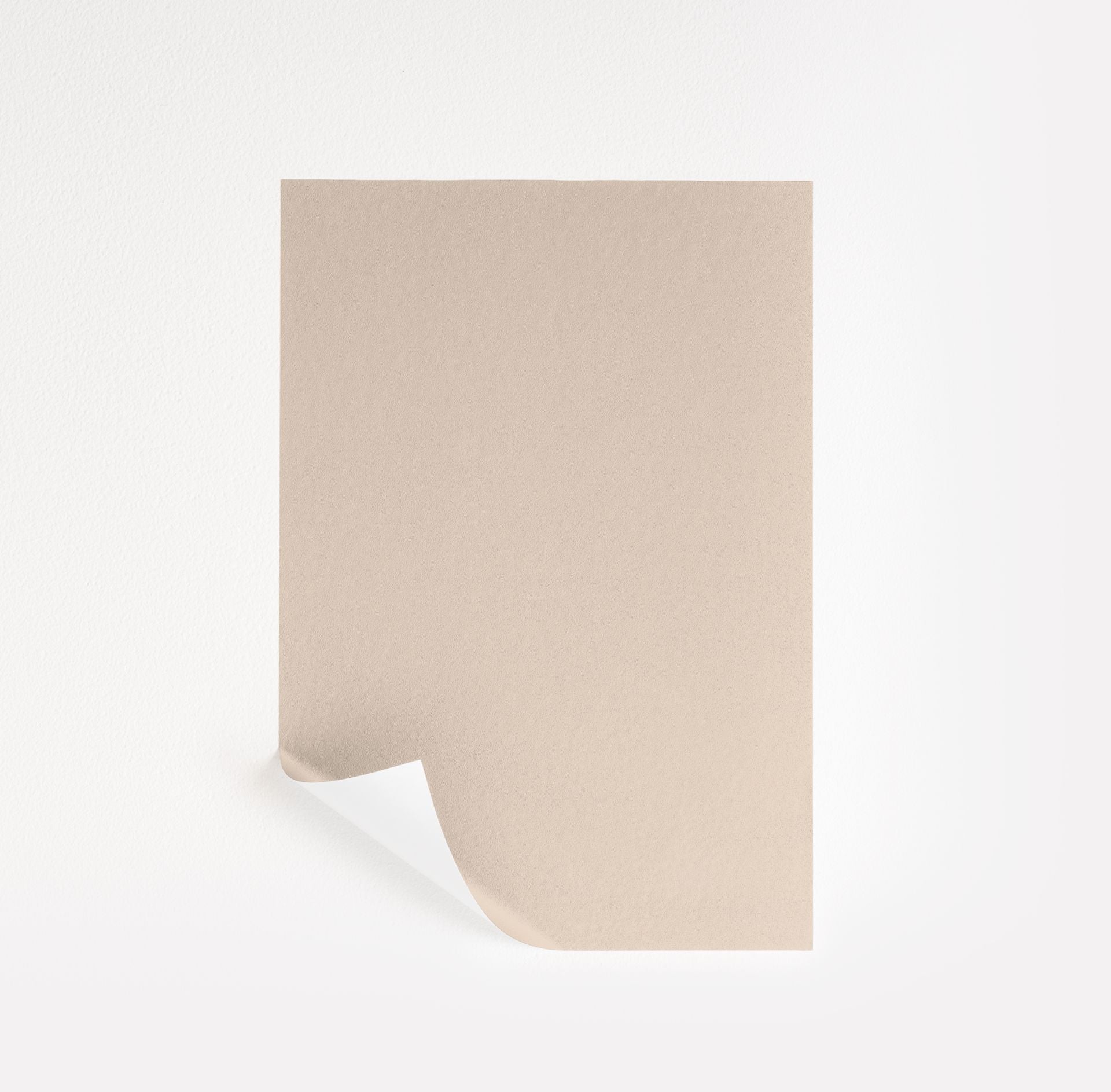 Dusty Trail (1157)