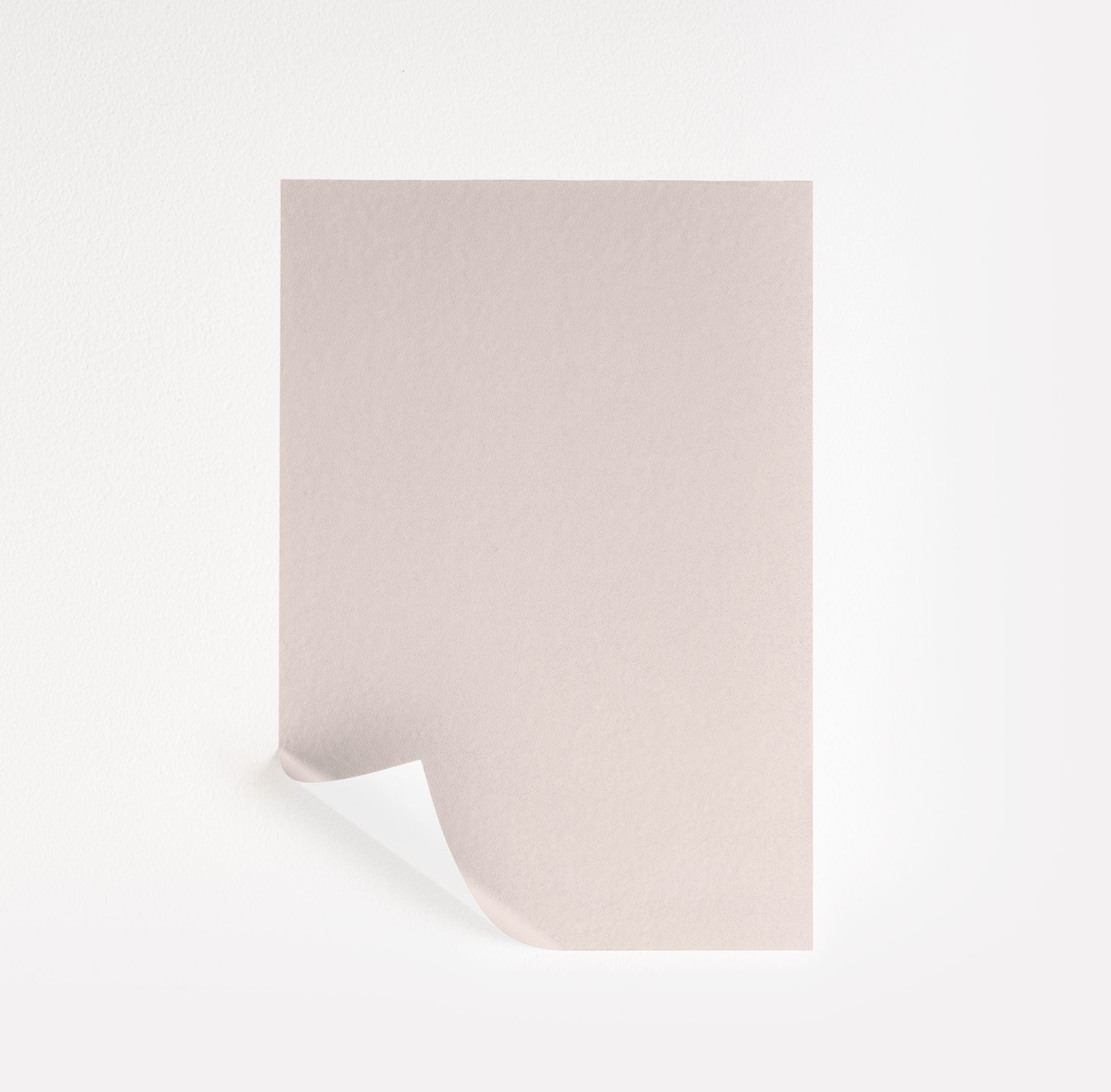 First Light (2102-70)