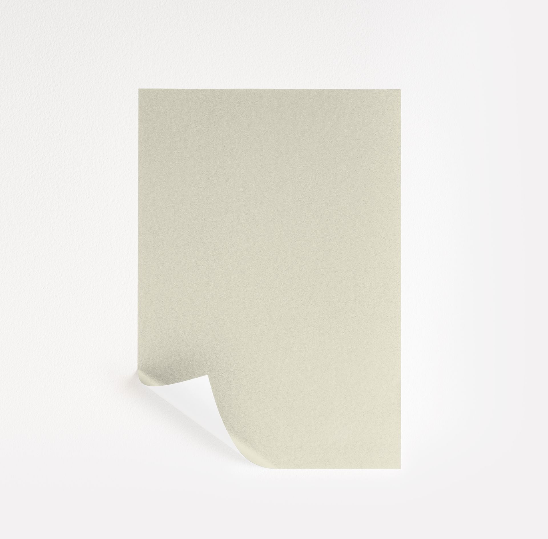 Floral White (OC-29)