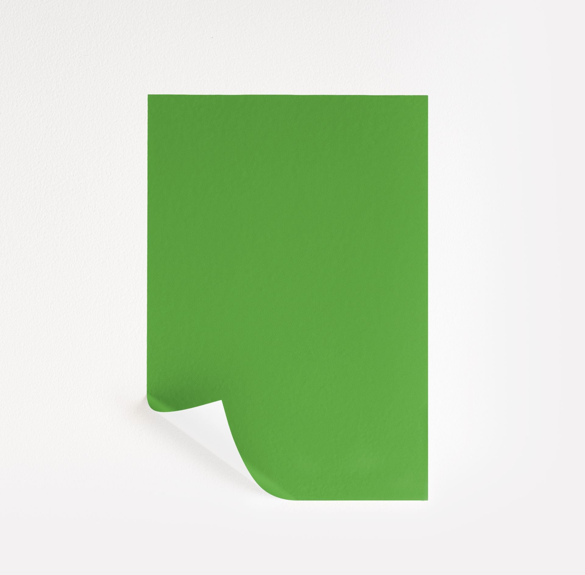 Fresh Lime (2032-30)