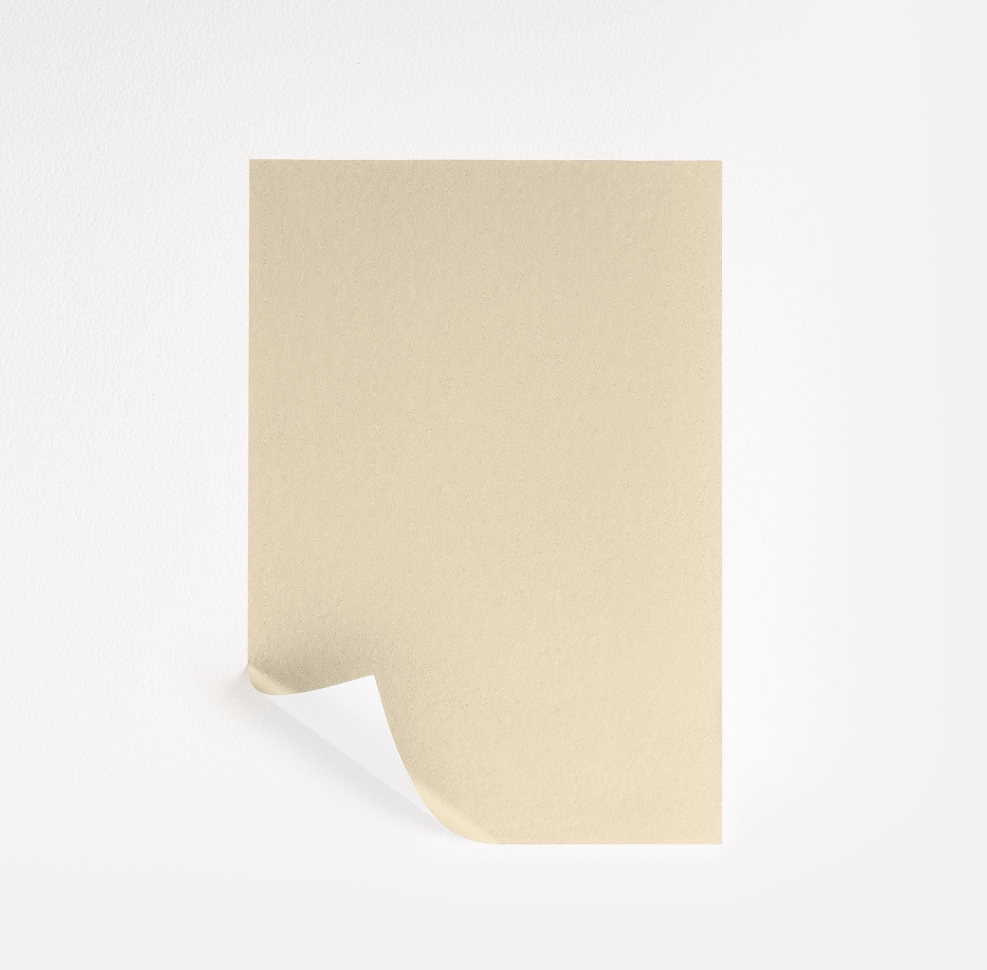 Ivory Lustre (184)