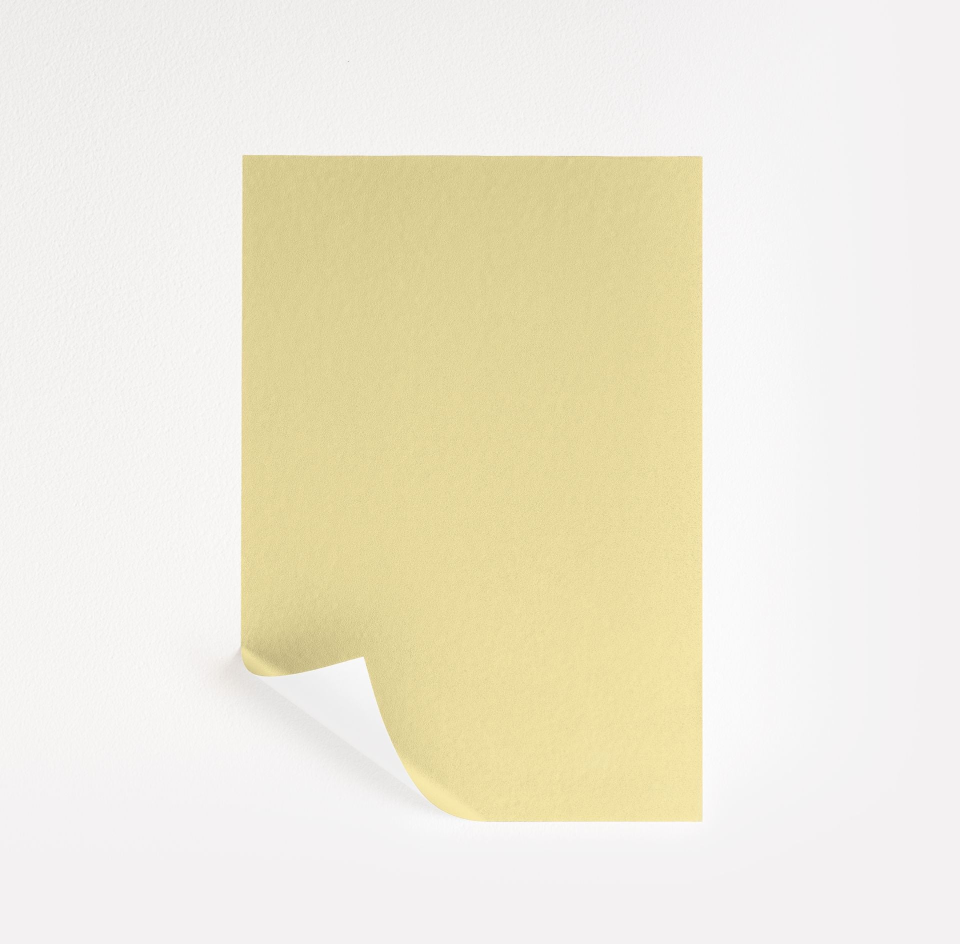 Jasper Yellow (2024-50)