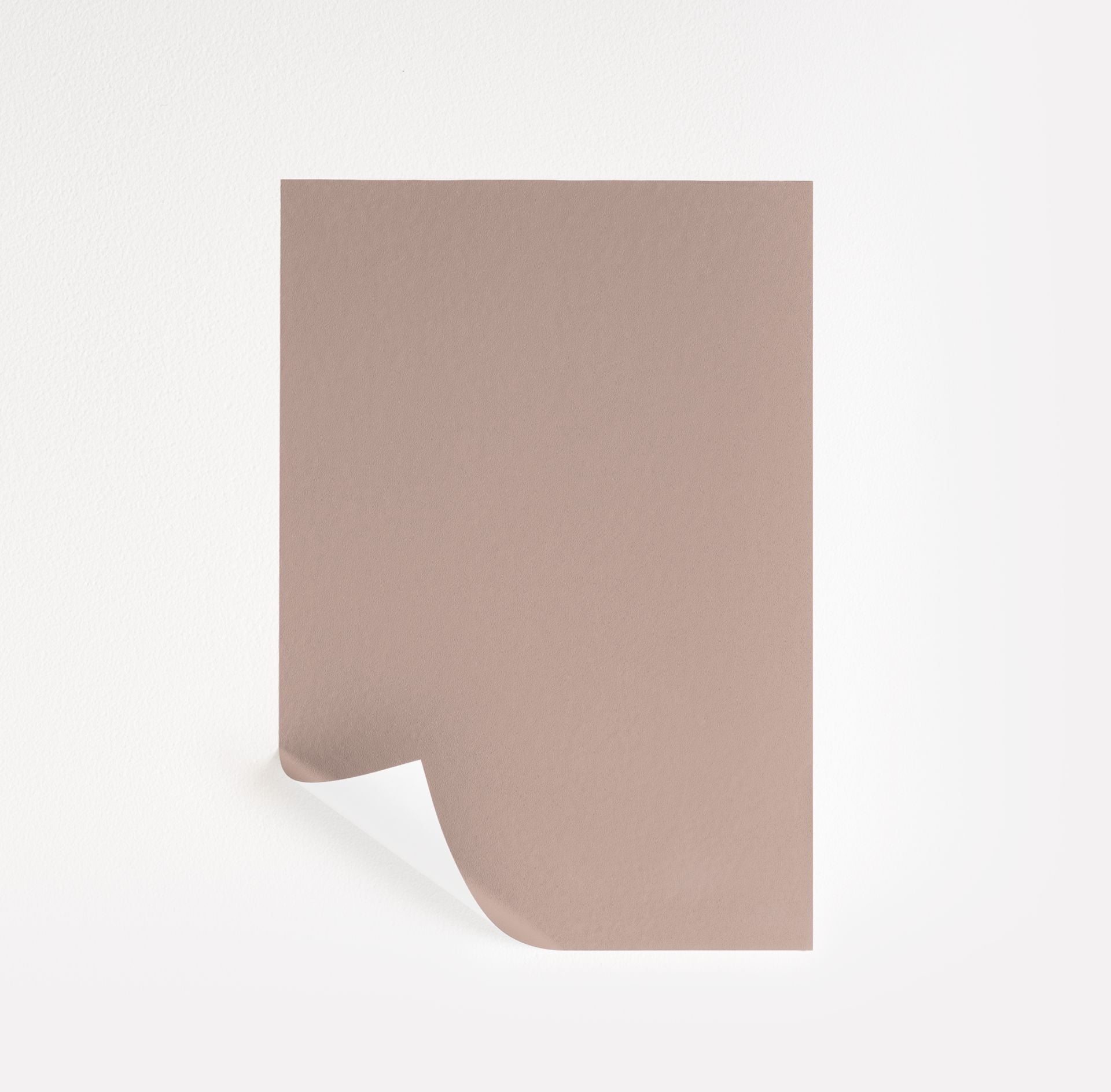 Just Beige (2095-50)