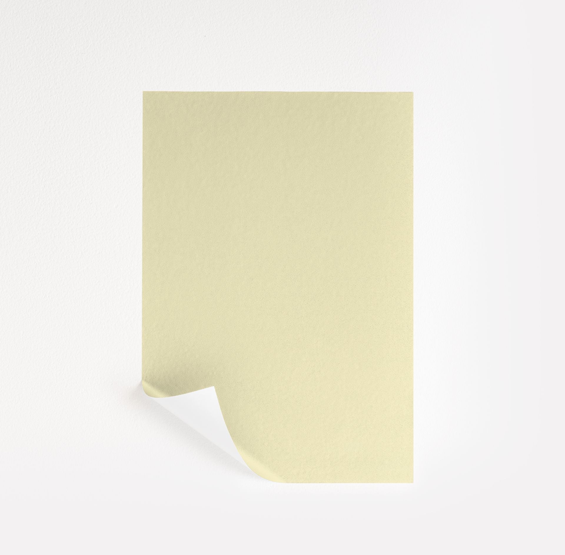 Light Daffodil (2027-60)
