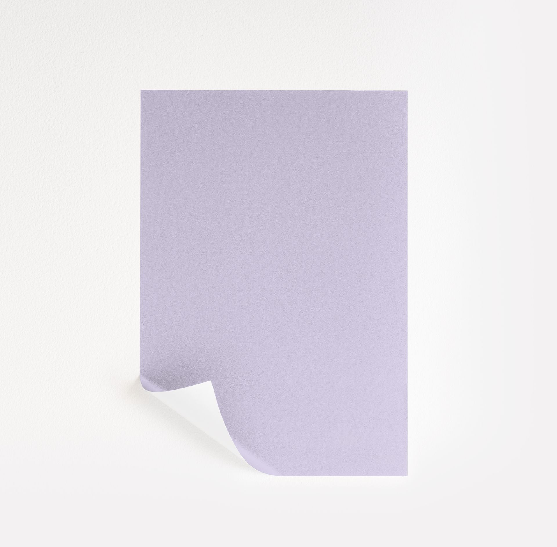 Lily Lavender (2071-60)