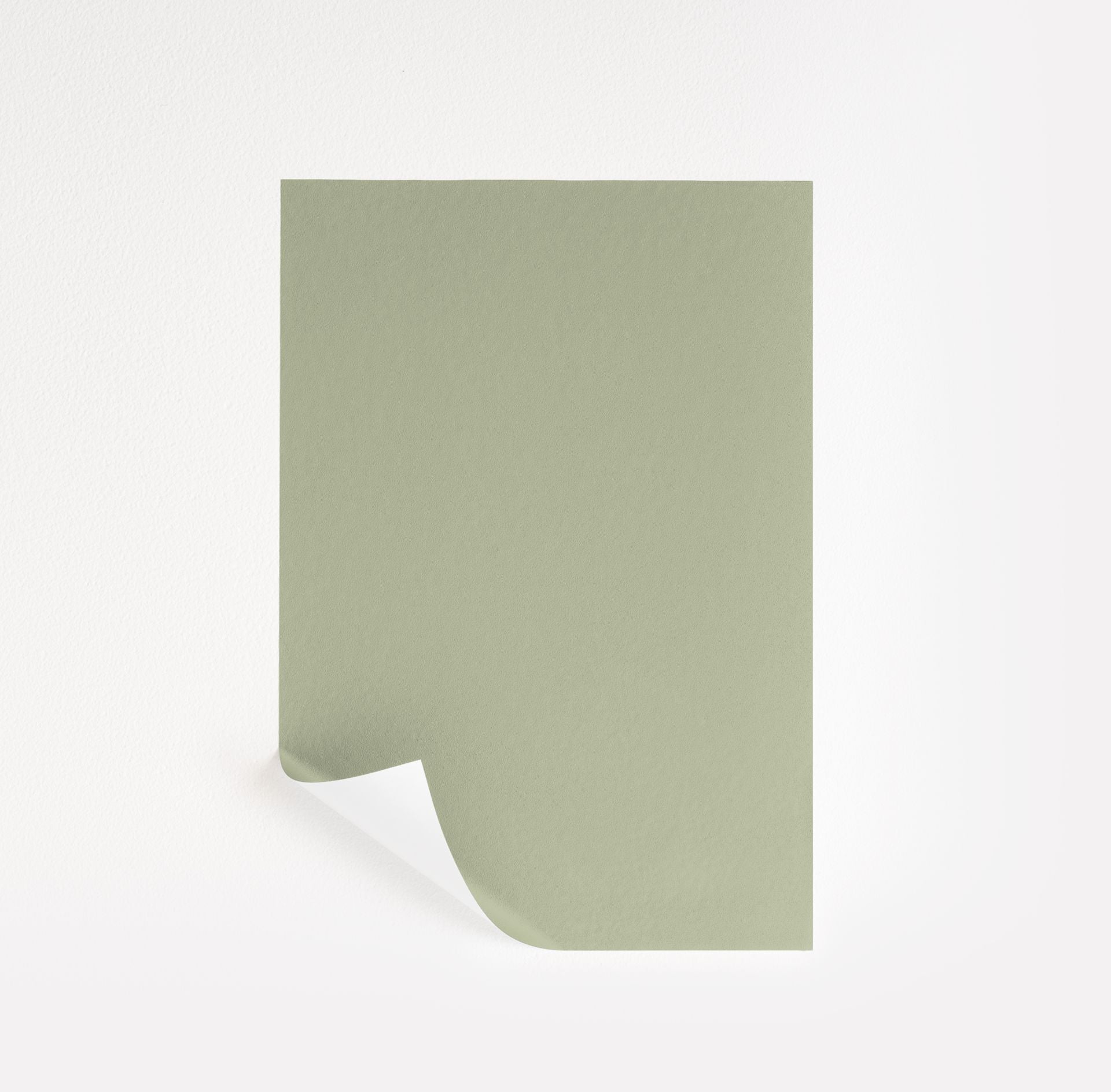 Lily Pad (480)