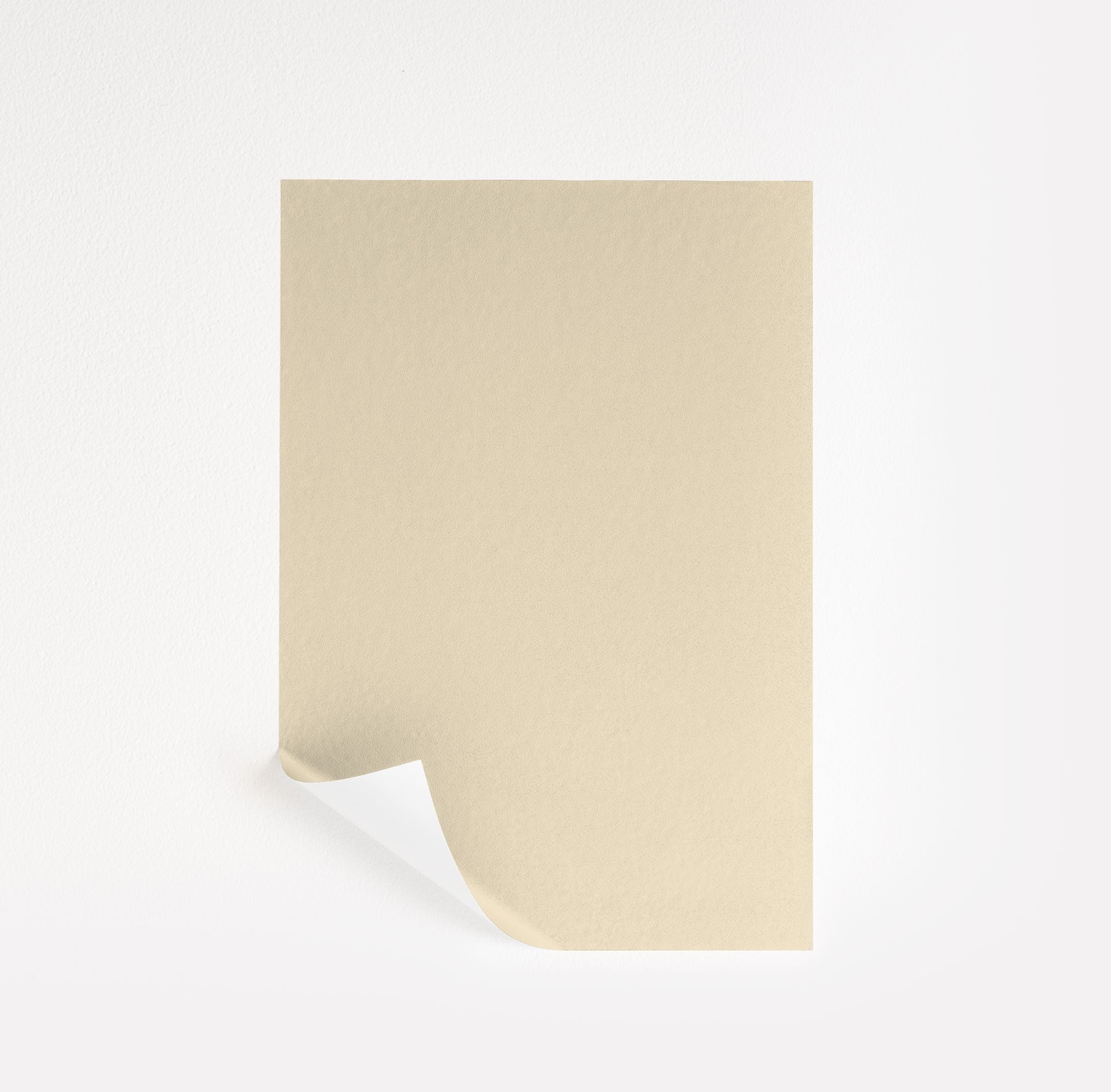Natural Beech (253)