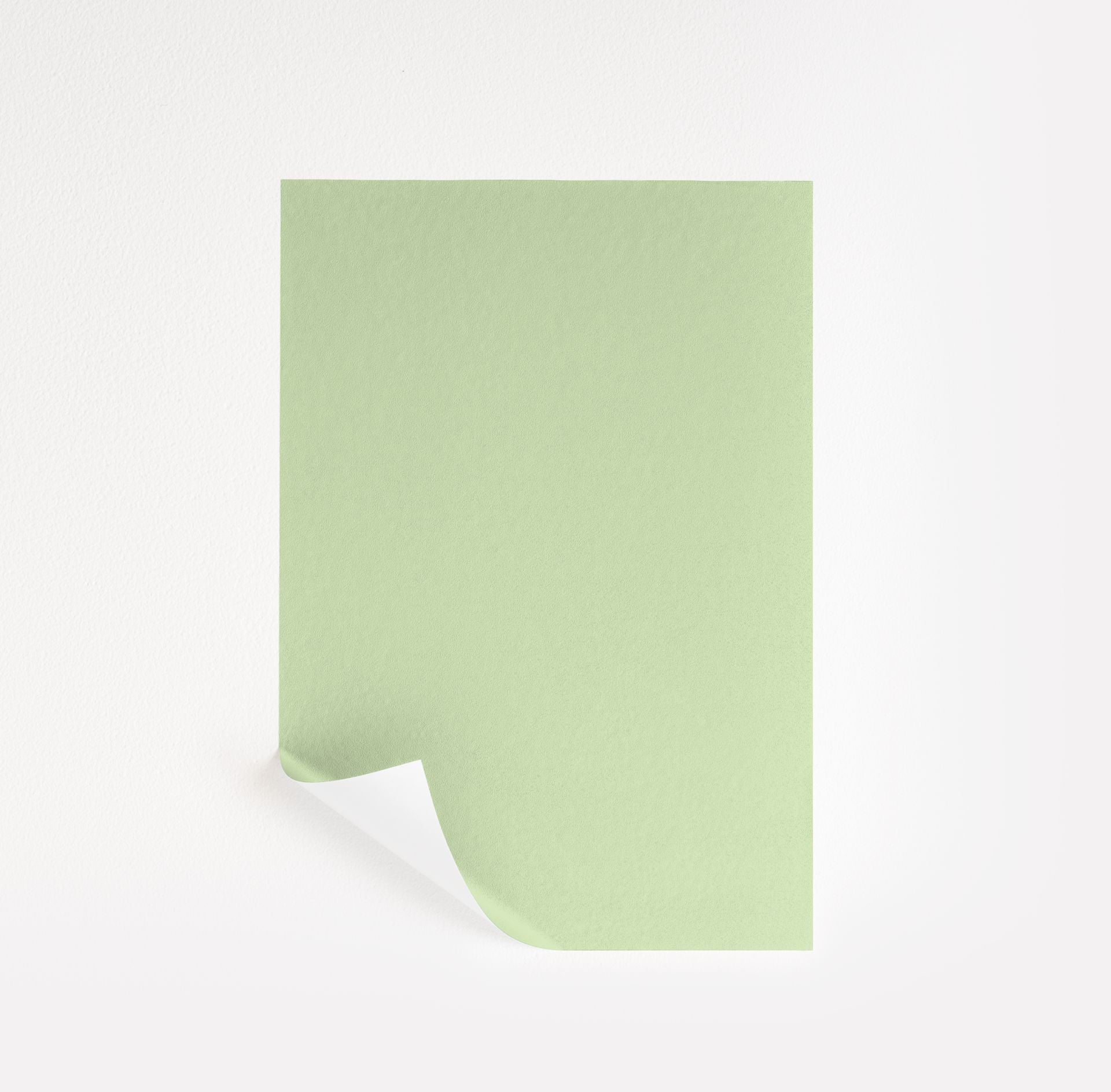 O'Reilly Green (555)