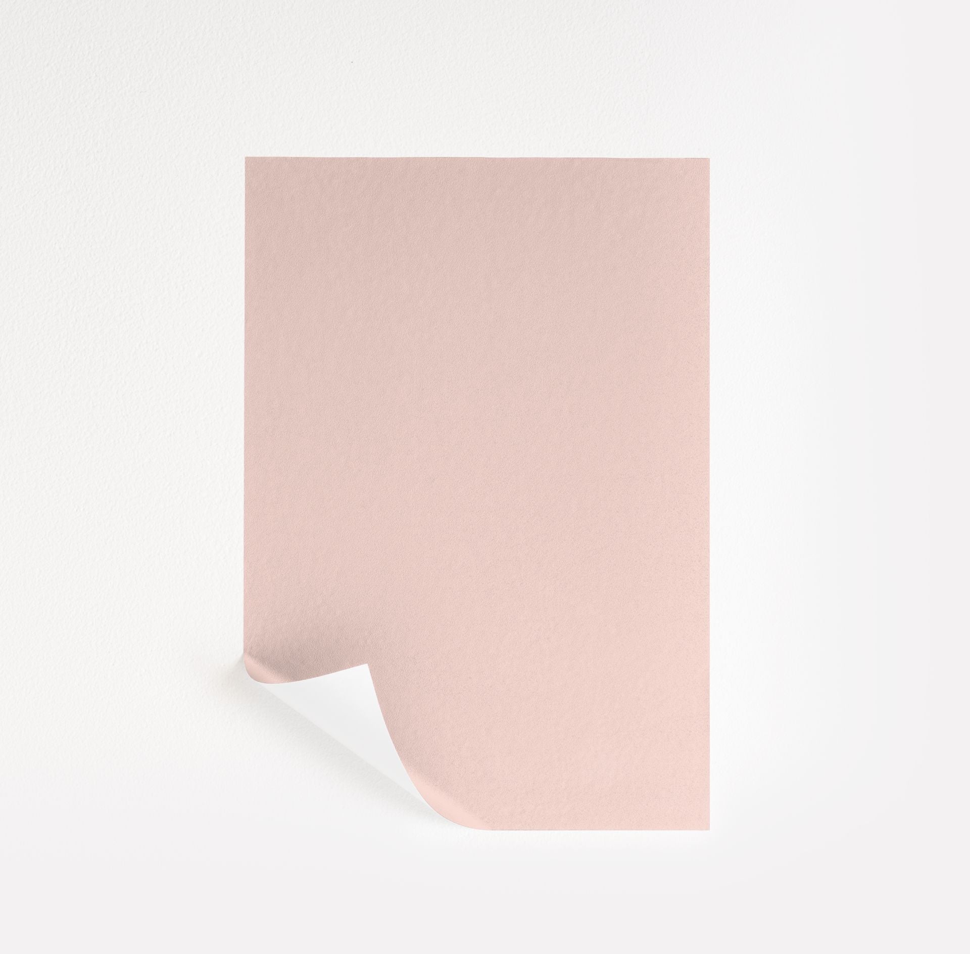 Pacific Grove Pink (889)