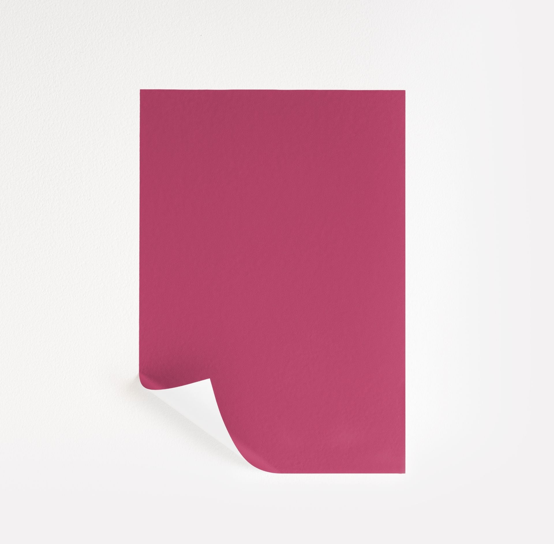 Peony (2079-30)