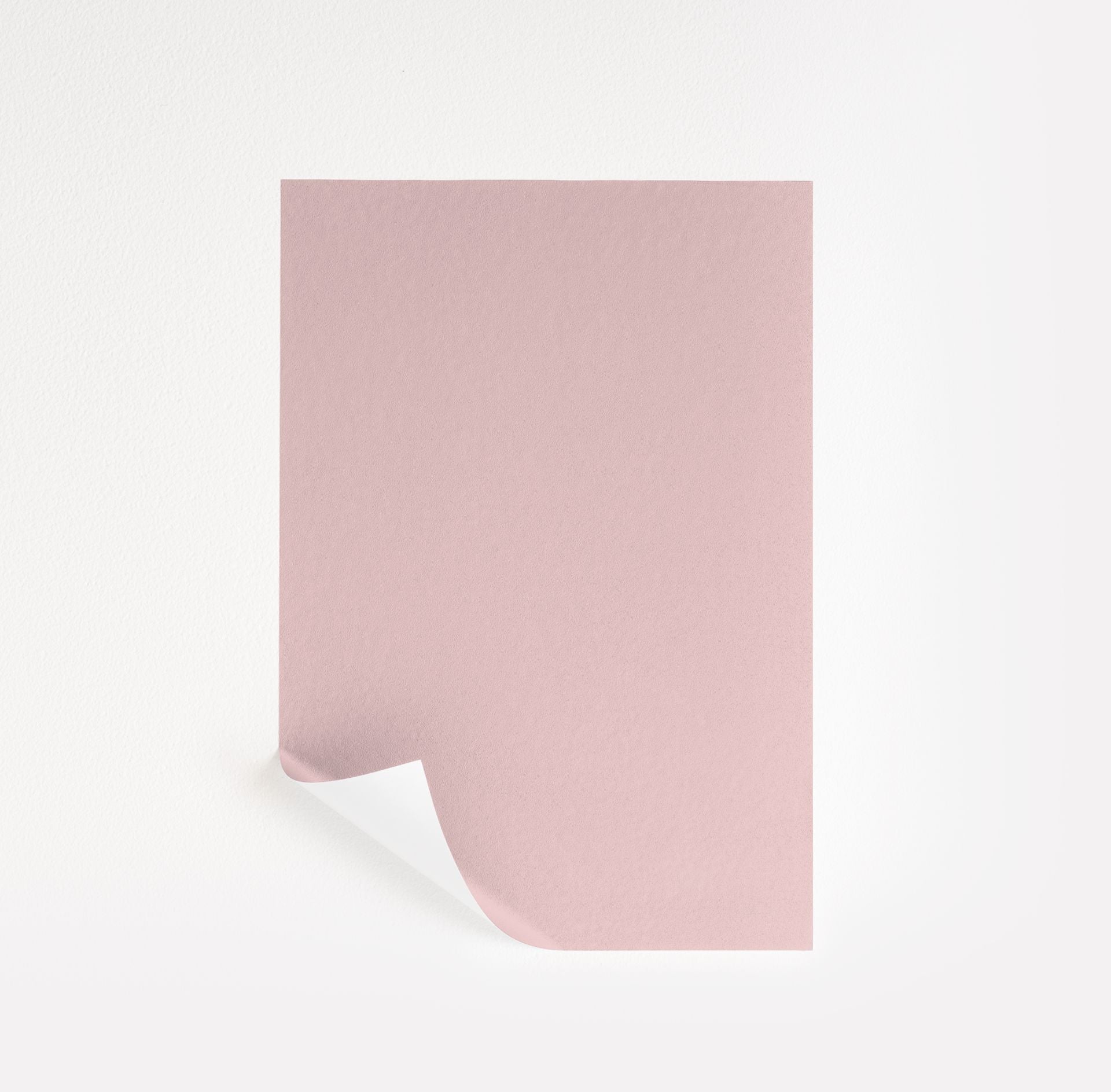 Petunia Pink (1276)