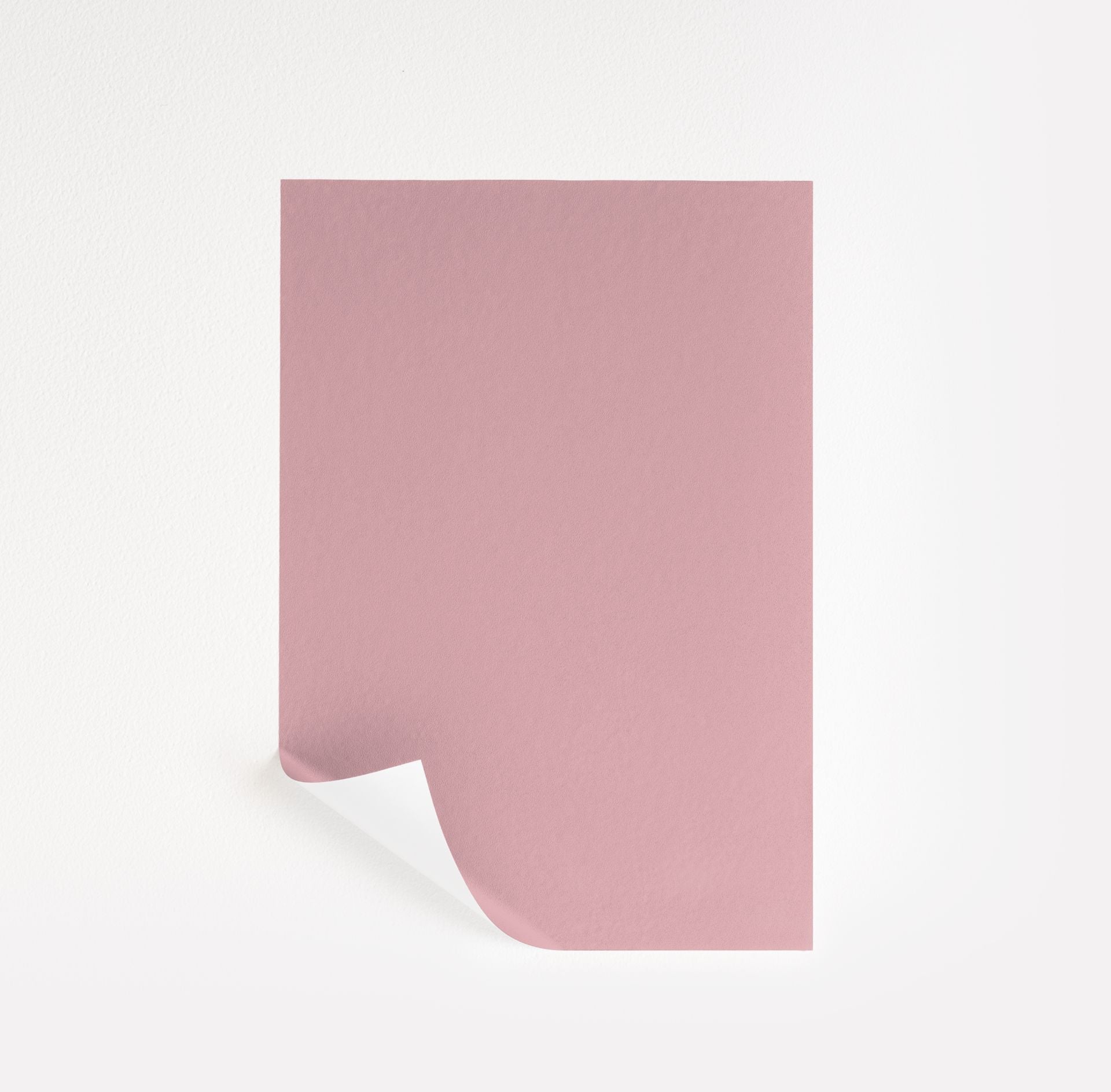 Pink Eraser (2005-50)