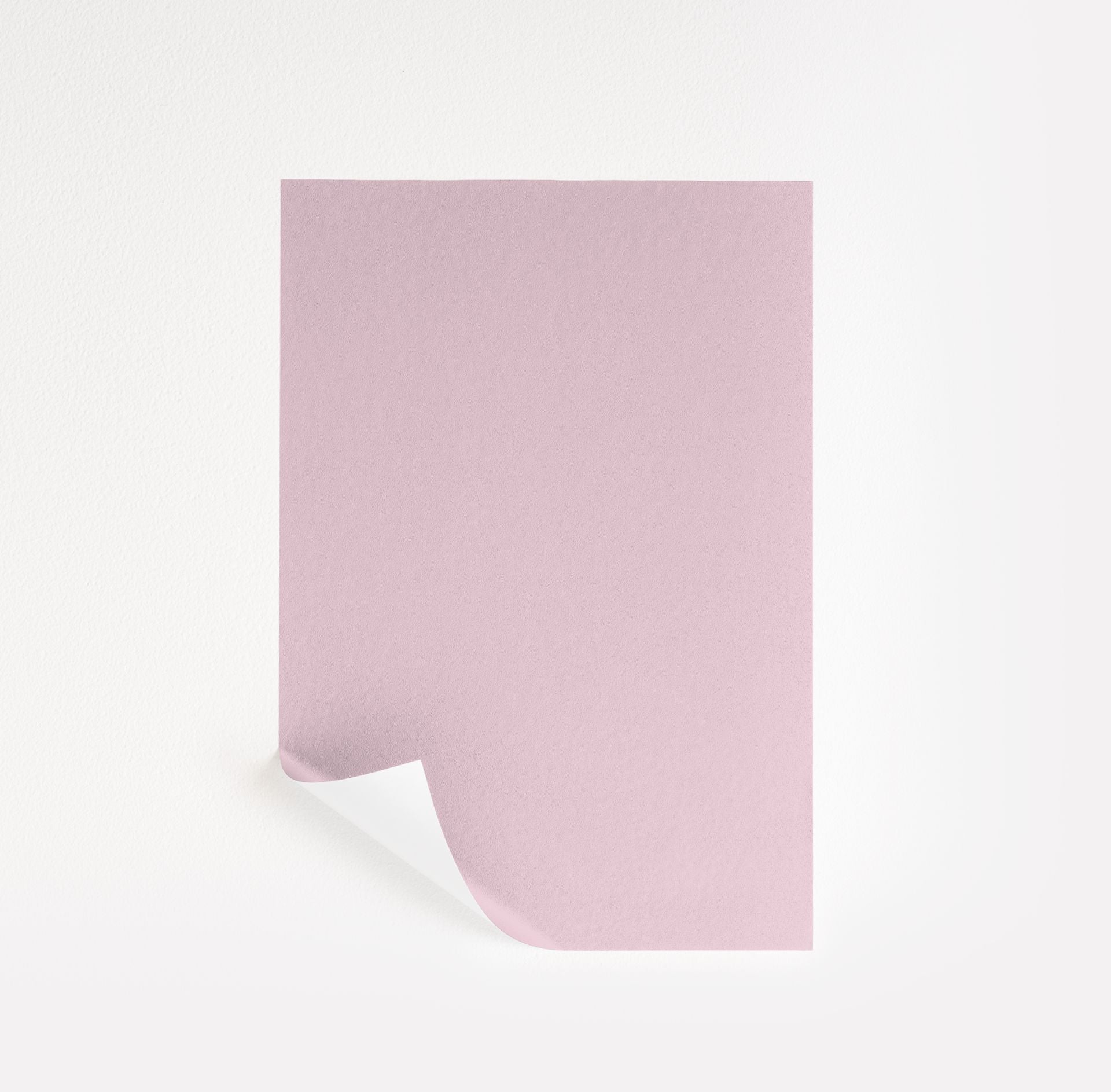 Pink Petals (2085-60)