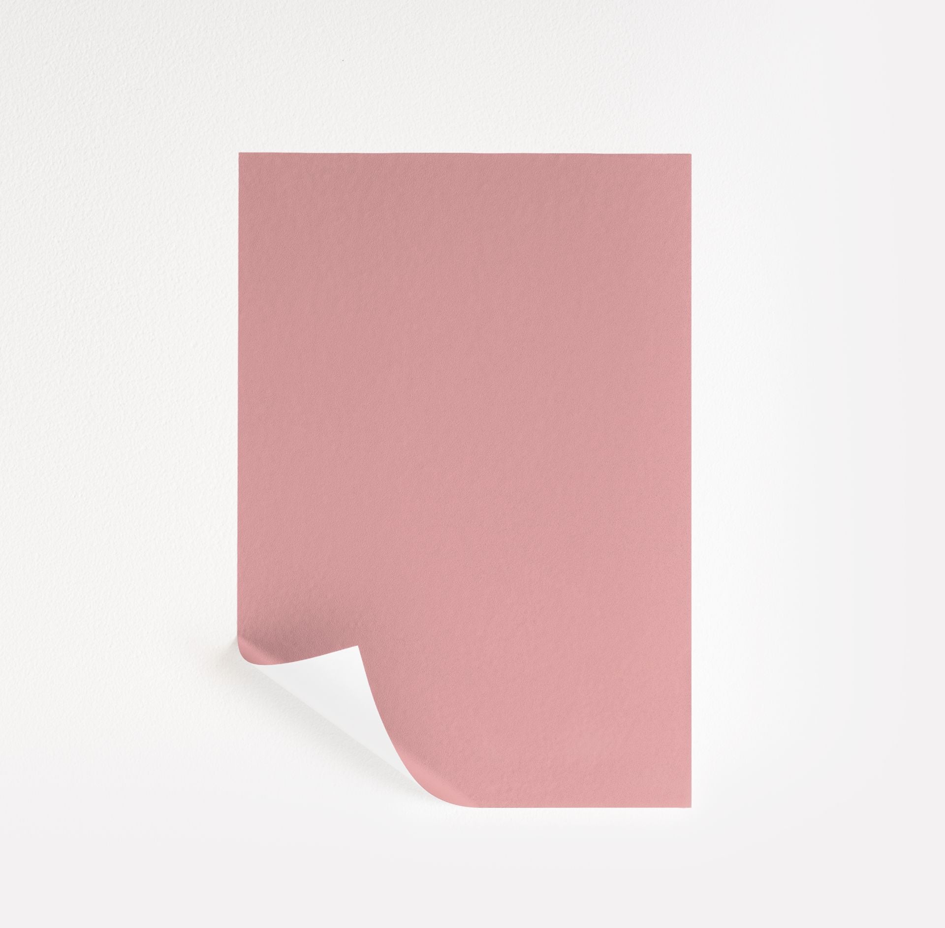 Pink Punch (2006-50)