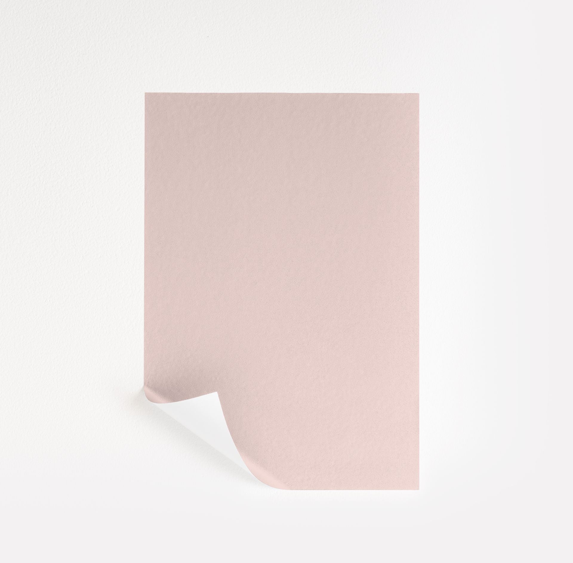 Playful Pink (2093-60)