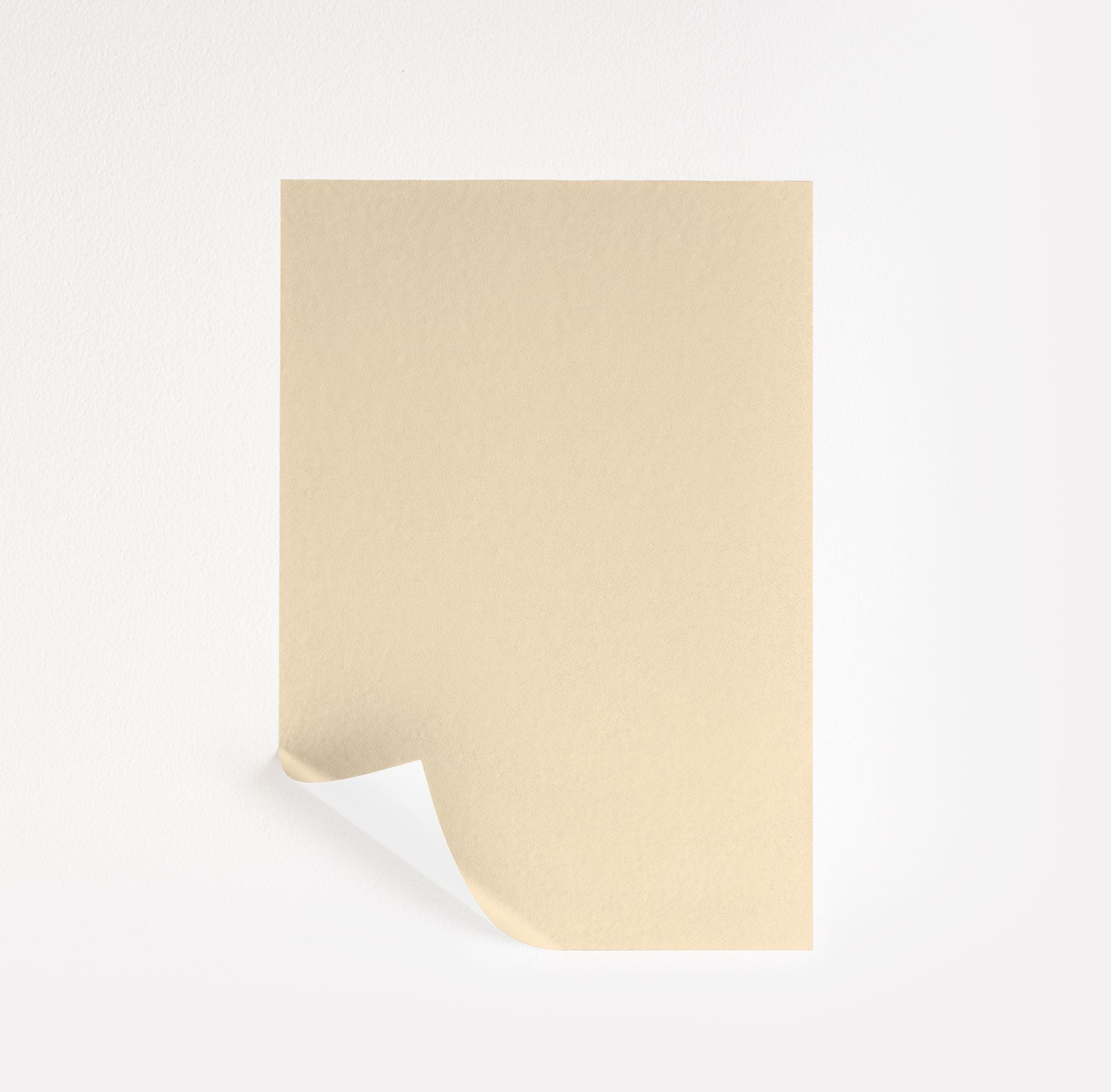 Porter Ranch Cream (148)