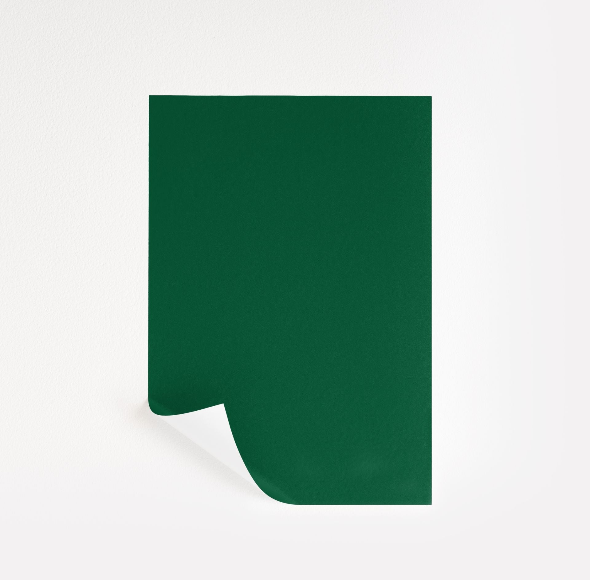 Rainforest Foliage (2040-10)