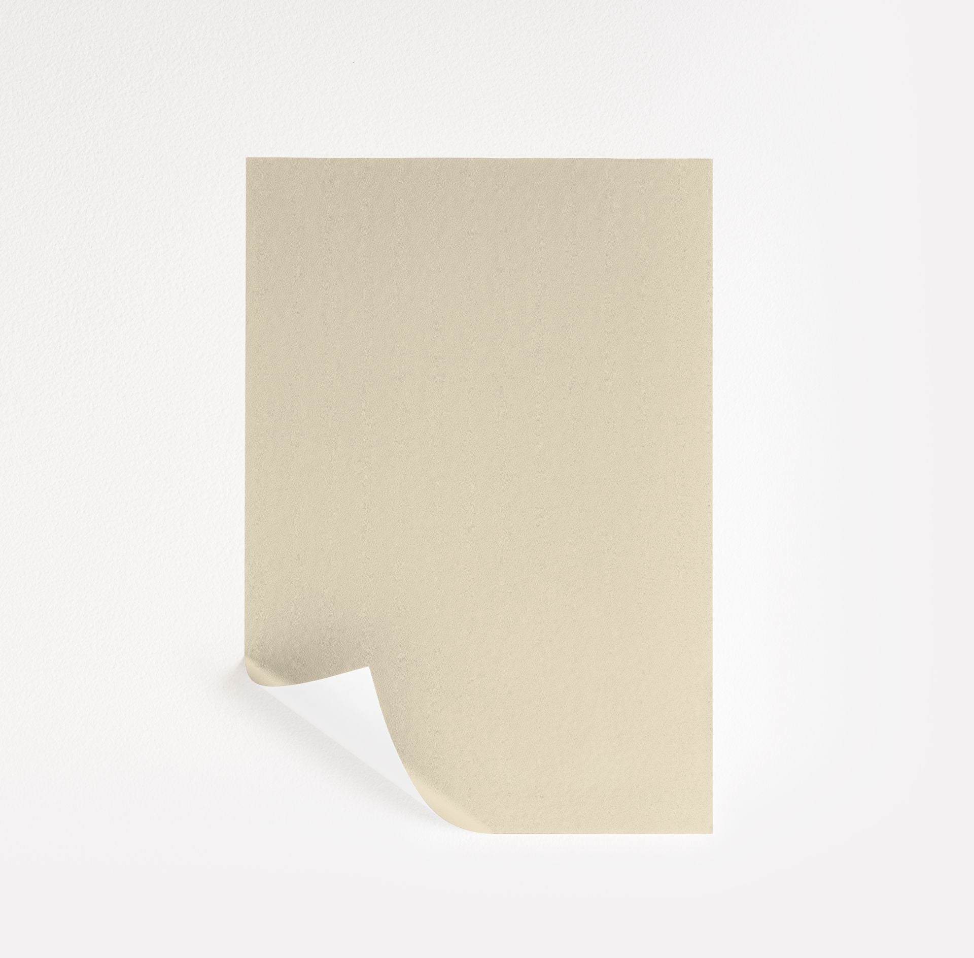 Sandy White (2148-50)
