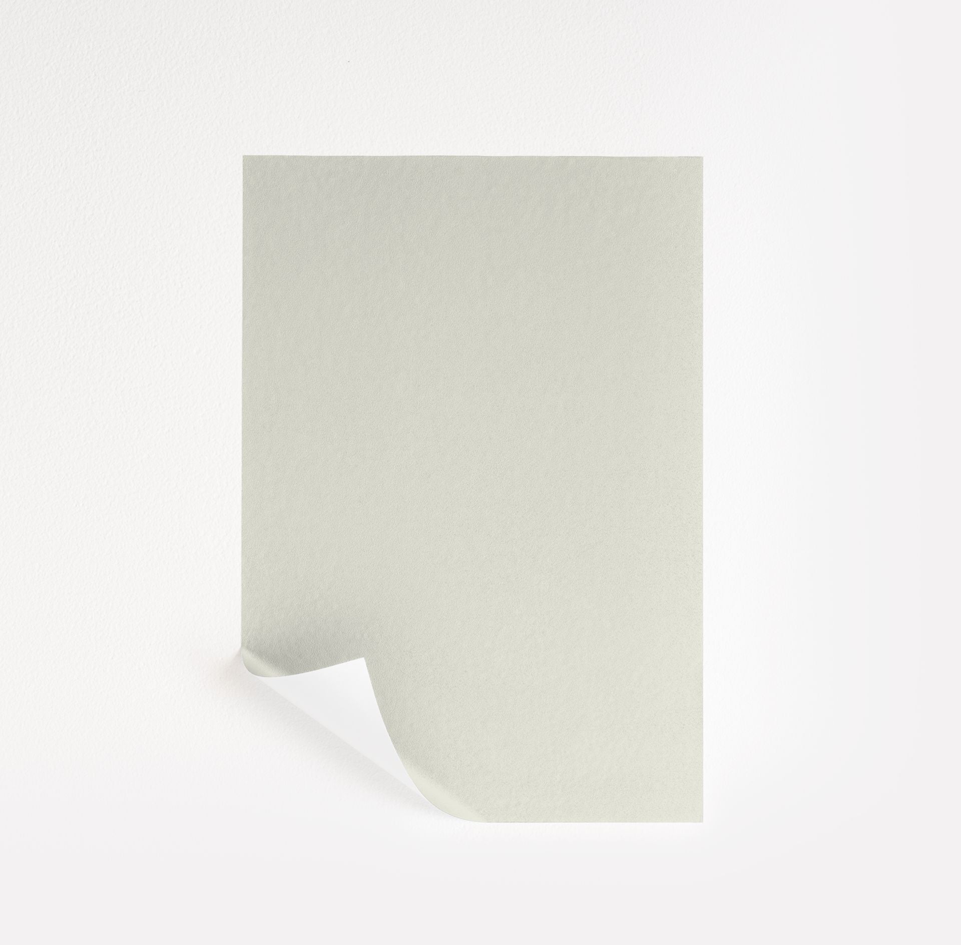 Sebring White (1492)