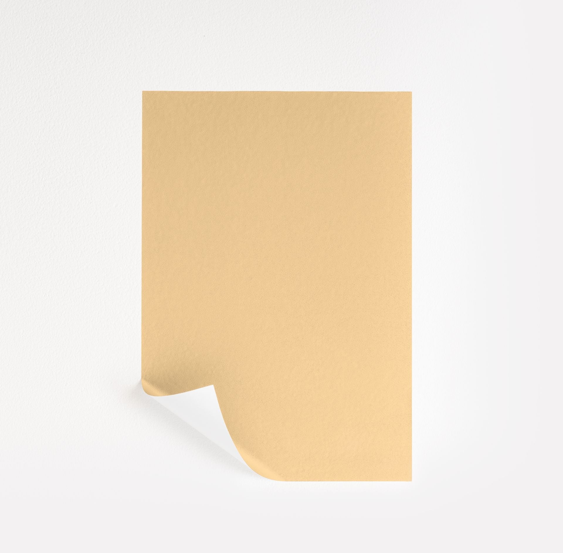 Suntan Yellow (2155-50)