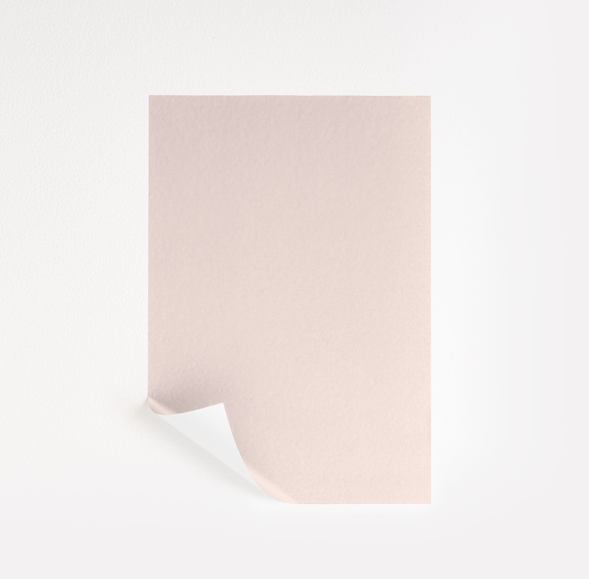 Touch of Pink (2008-70)