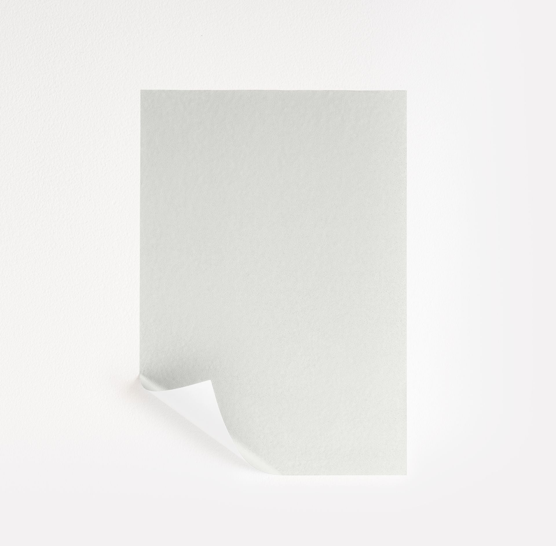 Ultra White (CC-10)