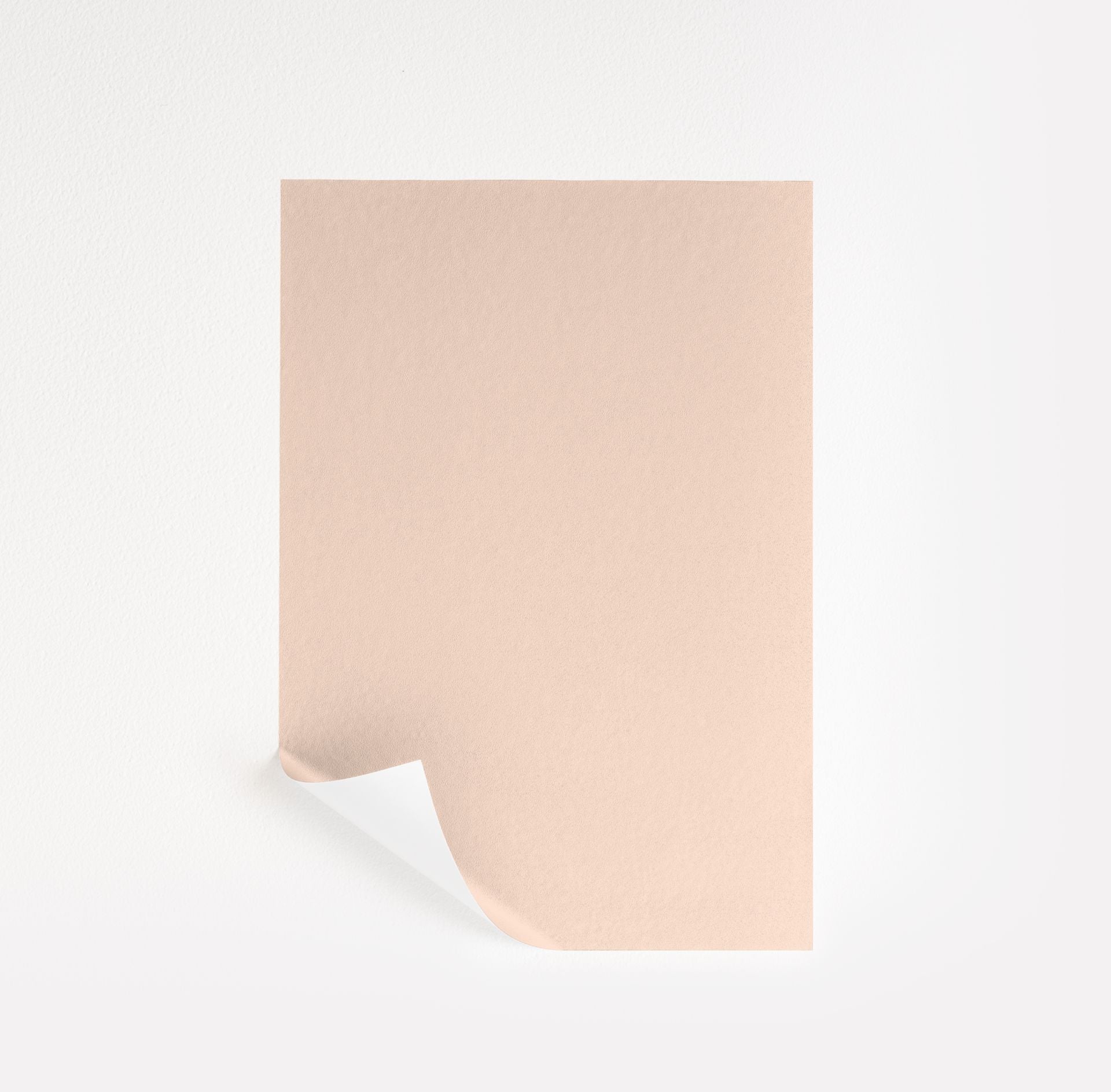 Whispering Peach (2014-60)