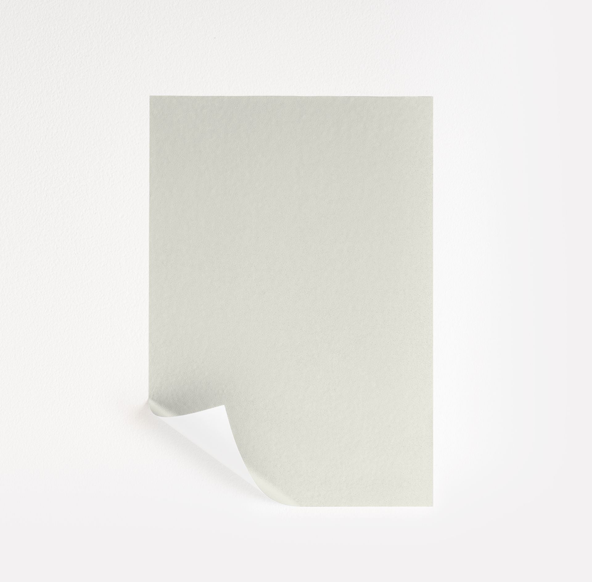 Winter White (2140-70)