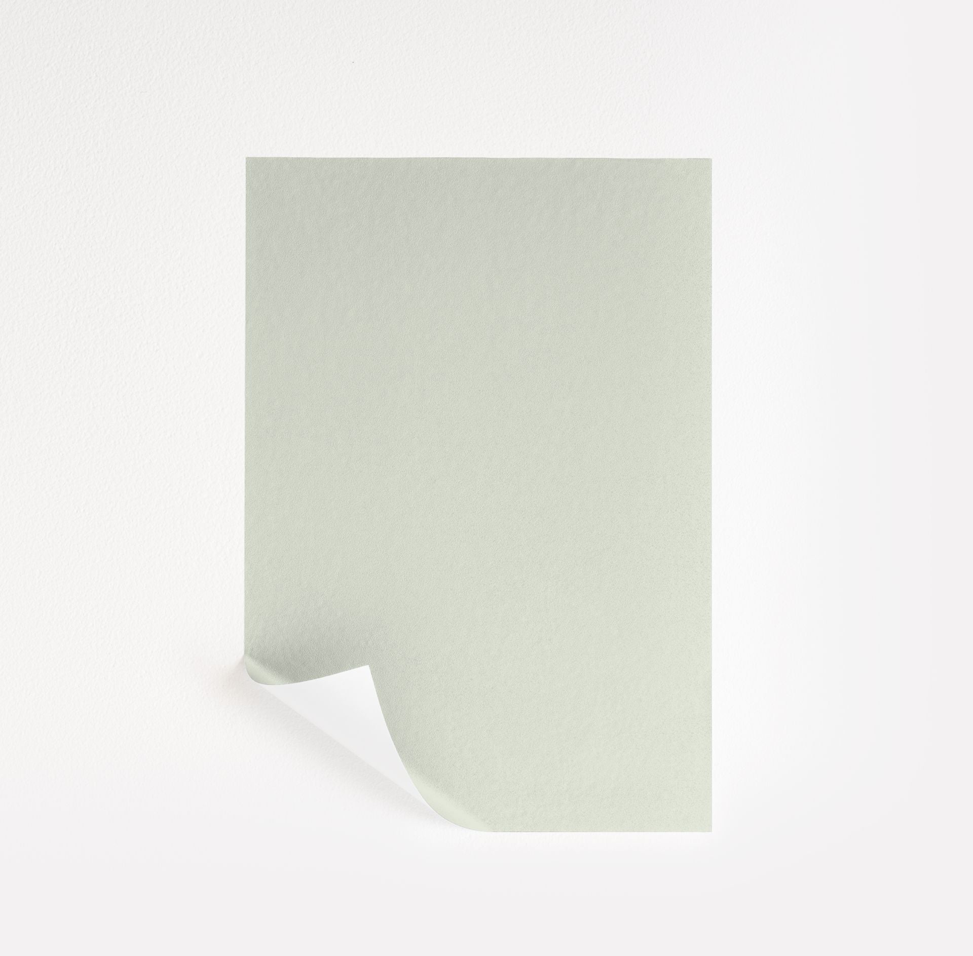 Woodland White (463)