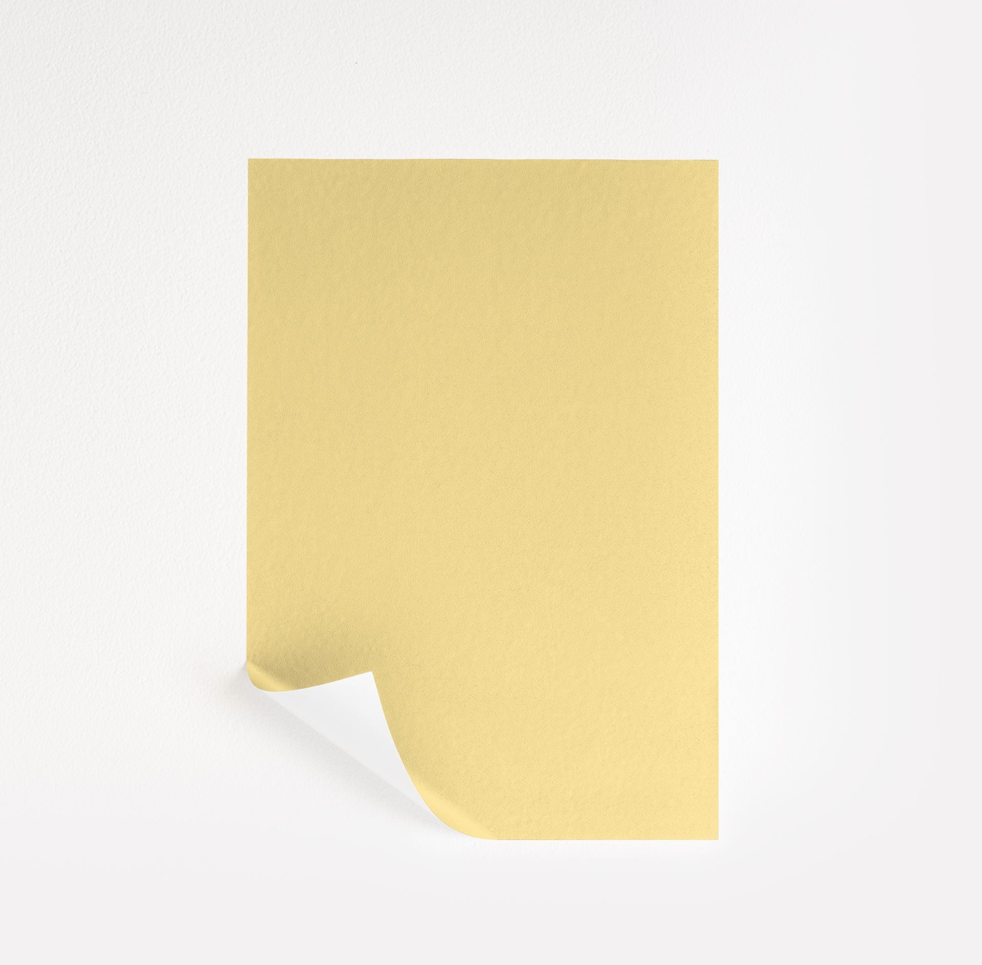 Yellow Lotus (2021-50)