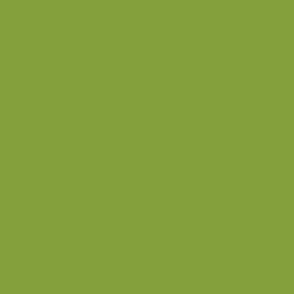 Iguana Green (2028-10)