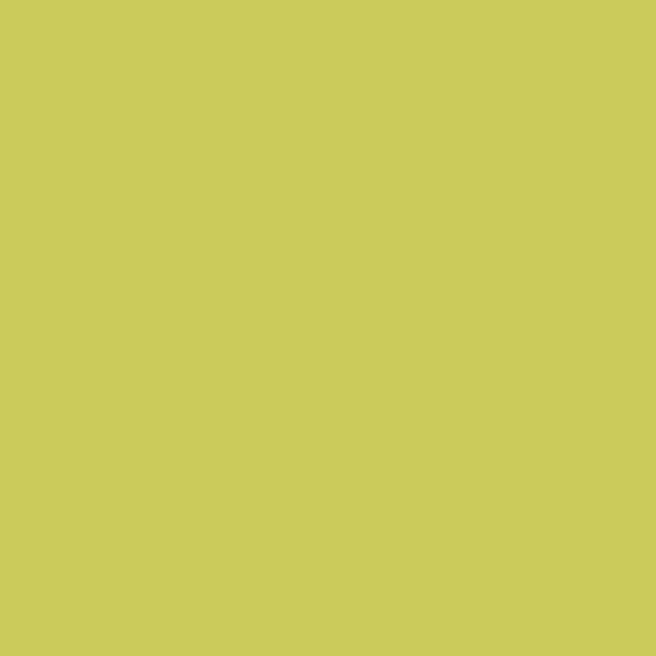 Electric Slide (404)