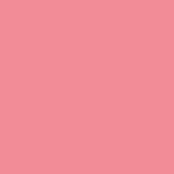 Flamingo's Dream (2002-40)