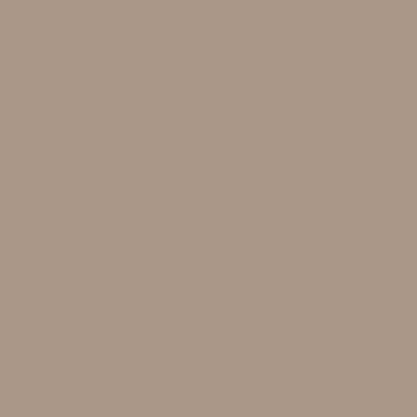 Chic Taupe (N230-4)