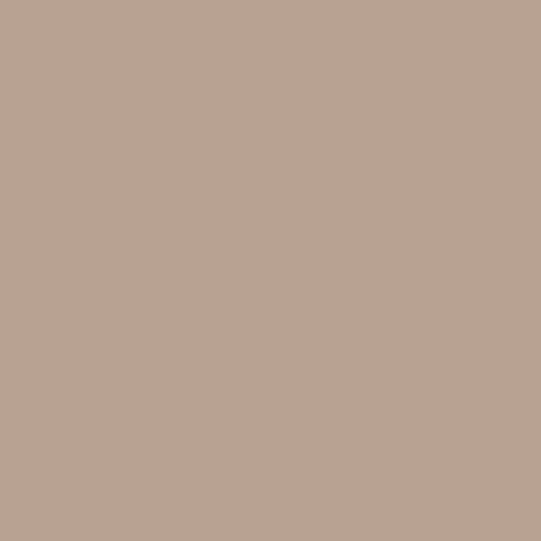 Rugged Tan (N190-4)