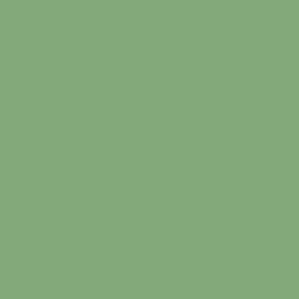 Aurora Borealis (565)