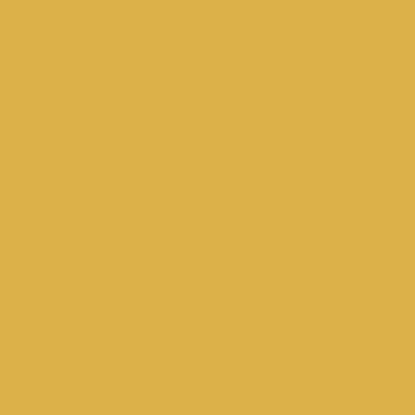 Nugget (6697)